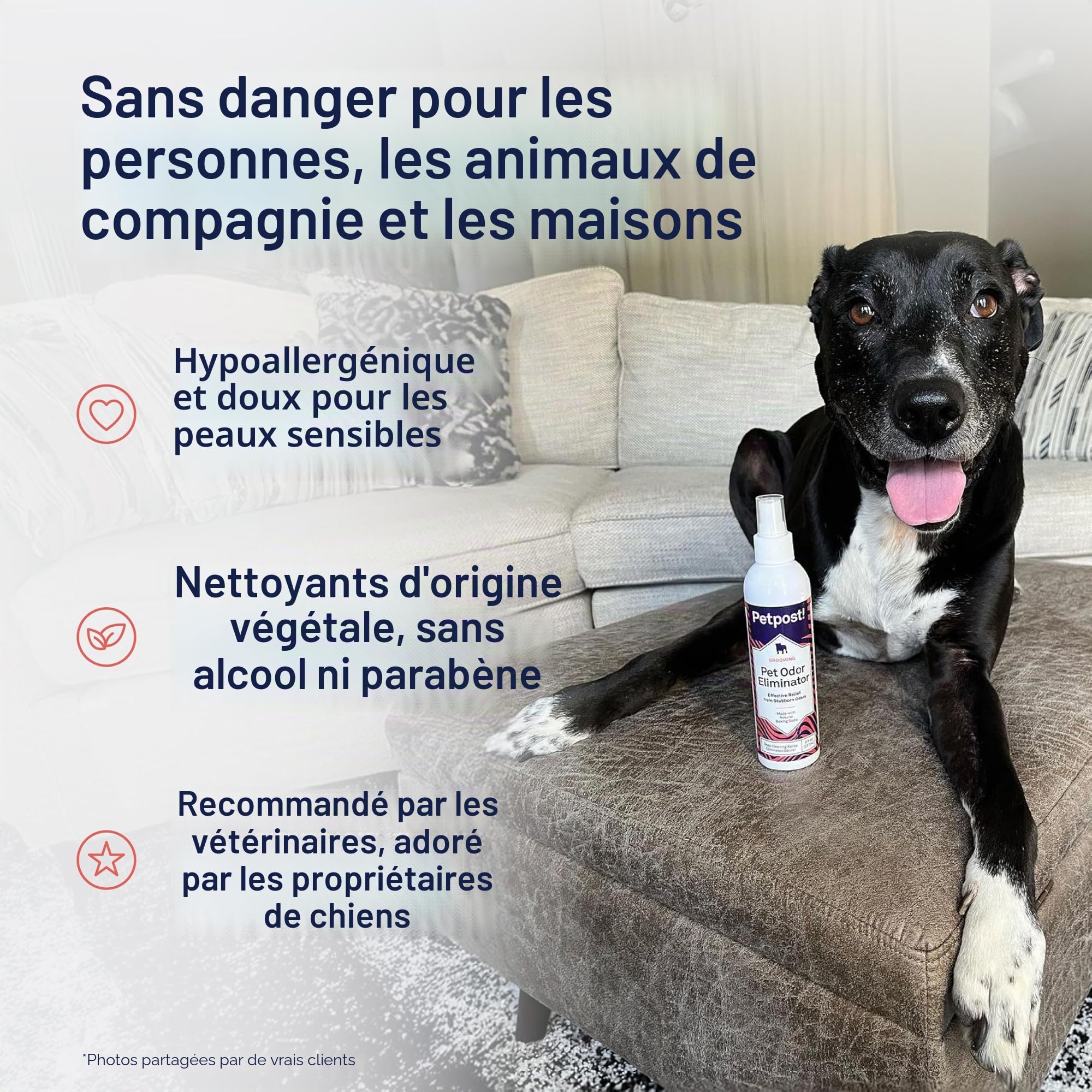 Petpost | Spray désodorisant pour Chiens et Chats - Désodorisant naturellement Efficace et Anti-Mauvaises odeurs - À pulvériser sur Votre Animal ou dans la Maison