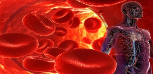 Cure High Blood Pressure in 15 Minutes