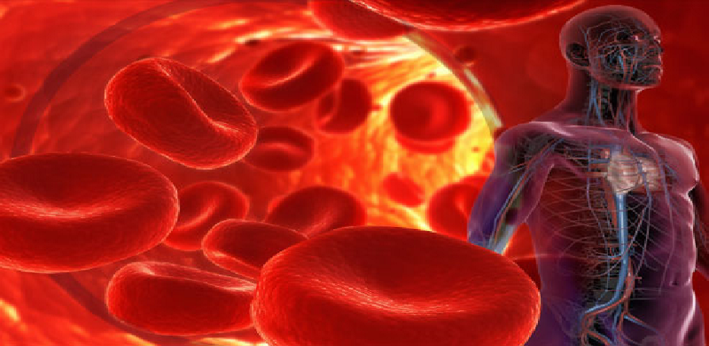 Cure High Blood Pressure in 15 for Android