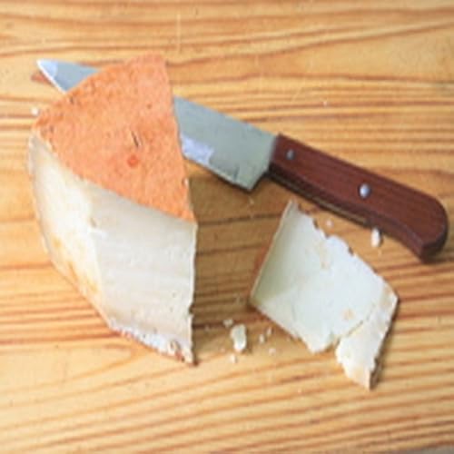 Chocolate Walnut Cookies - //medicalbooks.filipinodoctors.org