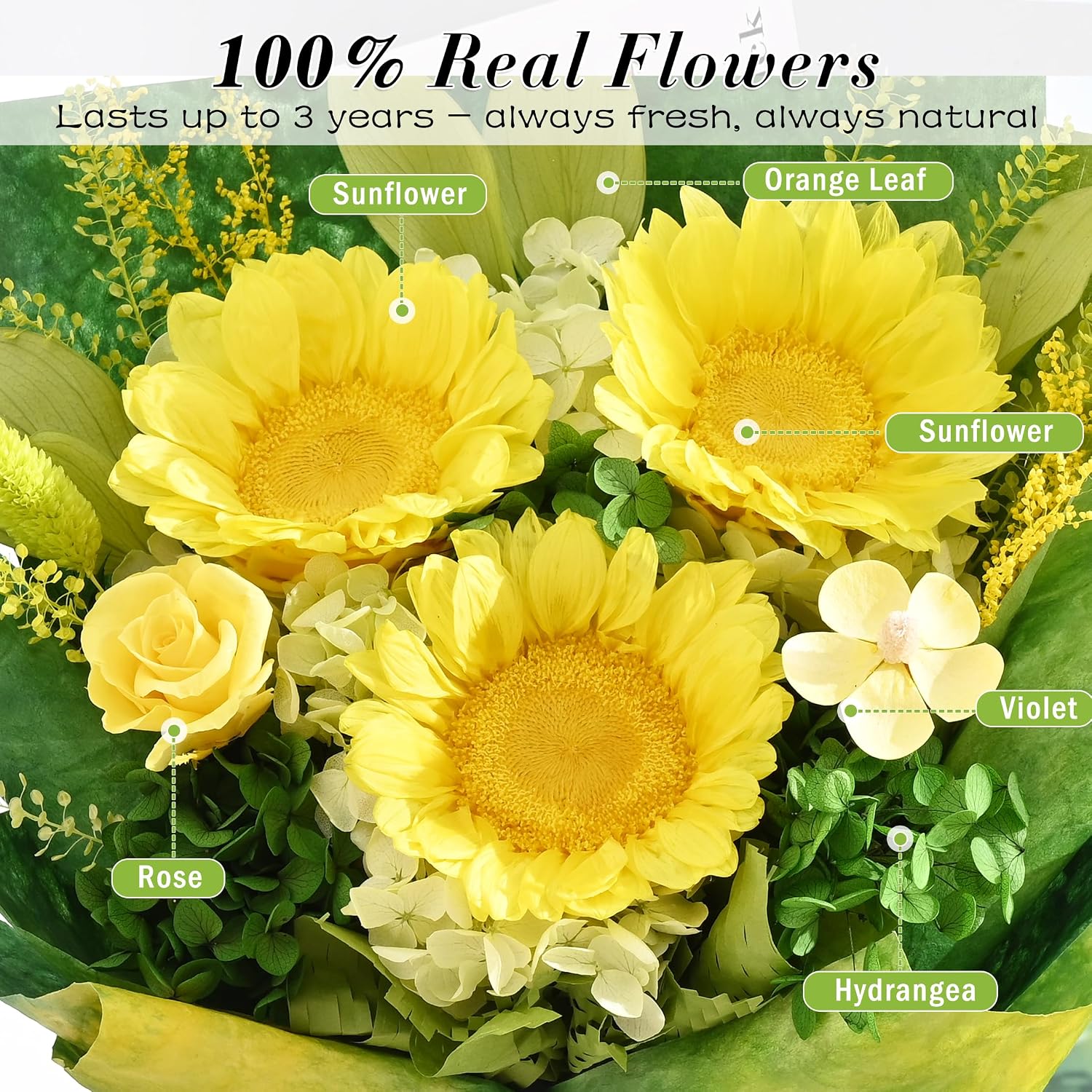 Waipfaru Preserved Flowers for Delivery Prime, Fresh Sunflower Bouquet with Gift Box, Forever Flowers for Women Mothers Day Birthday