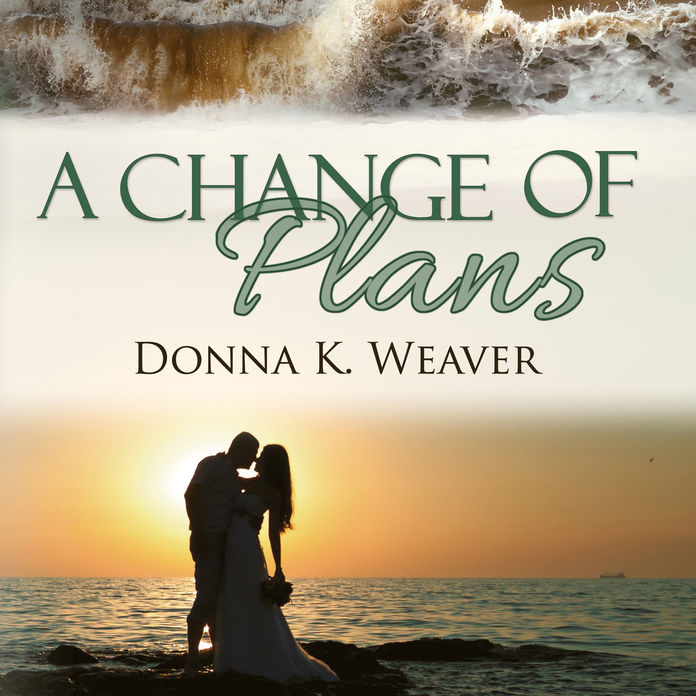 Cover art for A Change of Plans