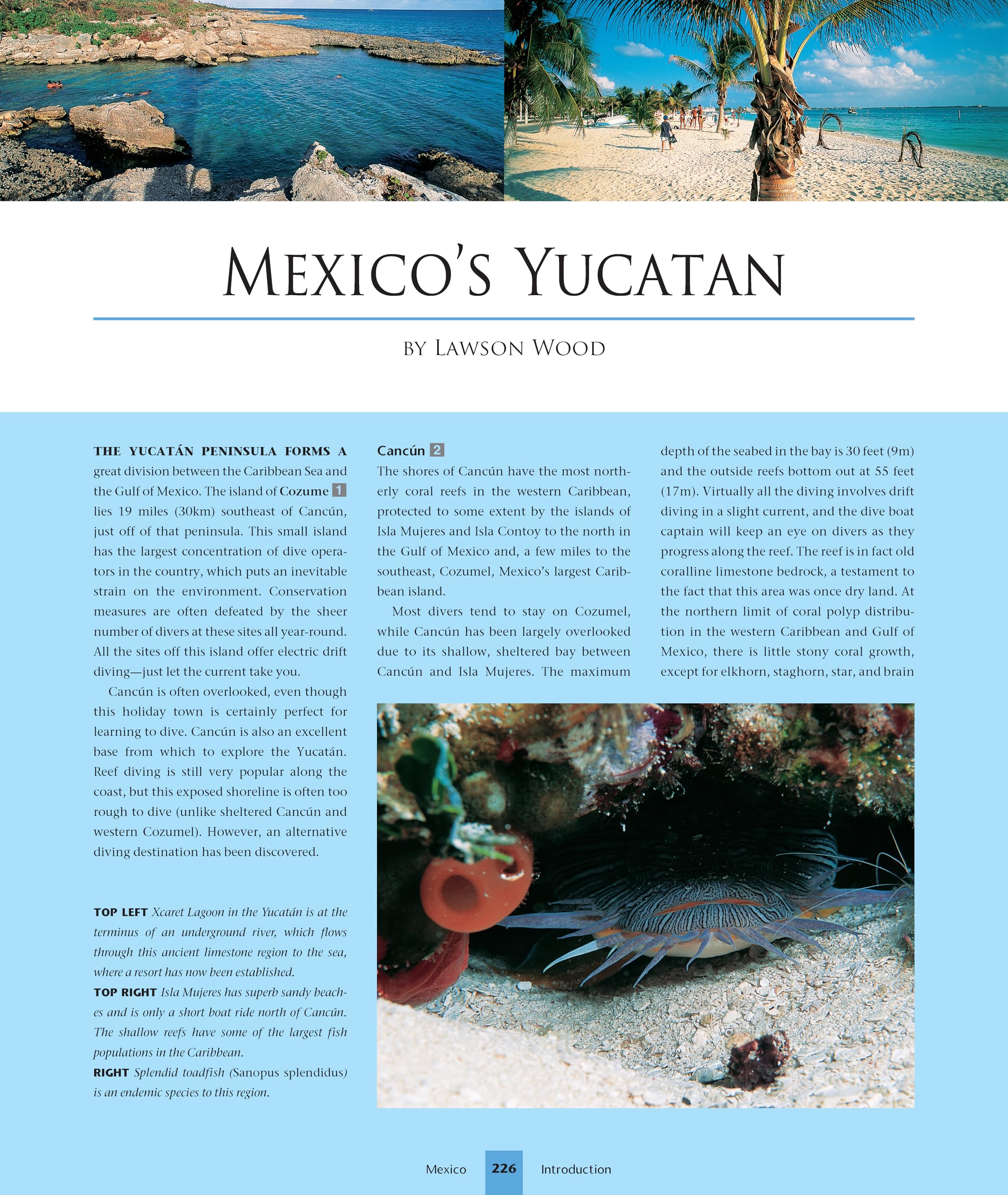 Dive Atlas of the World, Revised and Expanded Edition: An Illustrated Reference to the Best Sites