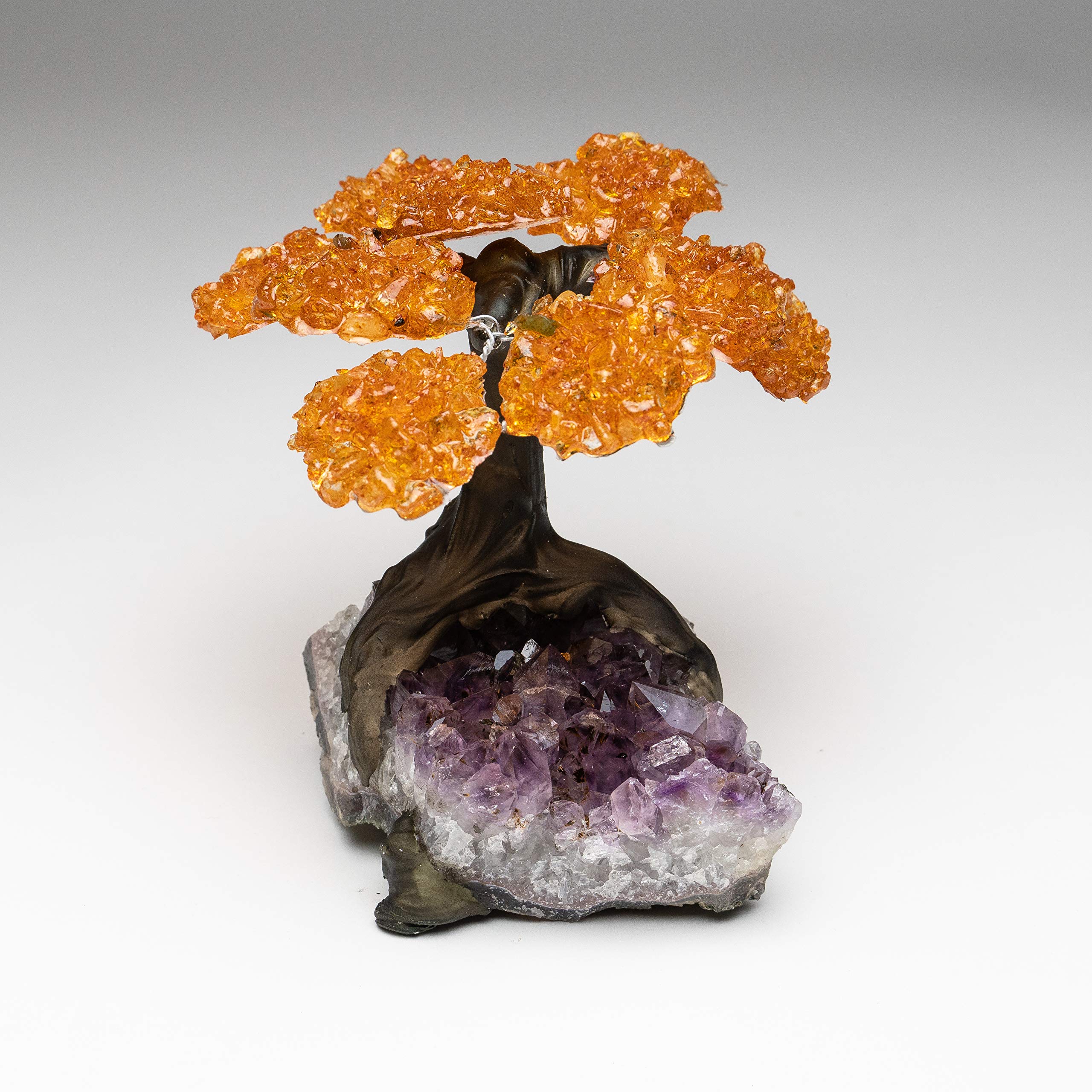 Astro Gallery of Gems Medium Citrine Clustered Gemstone Tree on Amethyst Matrix (The Money Tree)