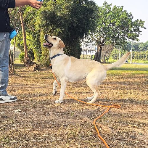 Miniatura 5 de ZALER Correa larga para perro, correa de entrenamiento de perros de 50 pies, 30, 20, 15 y 10 pies, correa de entrenamiento para perros, correa Negro