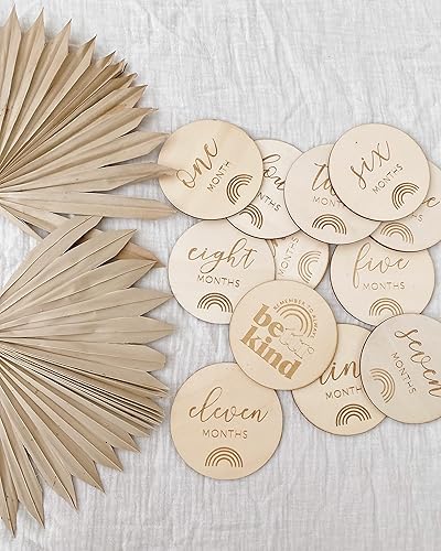 Miniatura 4 de 12 discos de madera de hito mensual para bebé, 12 tarjetas de doble cara (24 diseños), letrero de Hello World, accesorios para fotos de recién