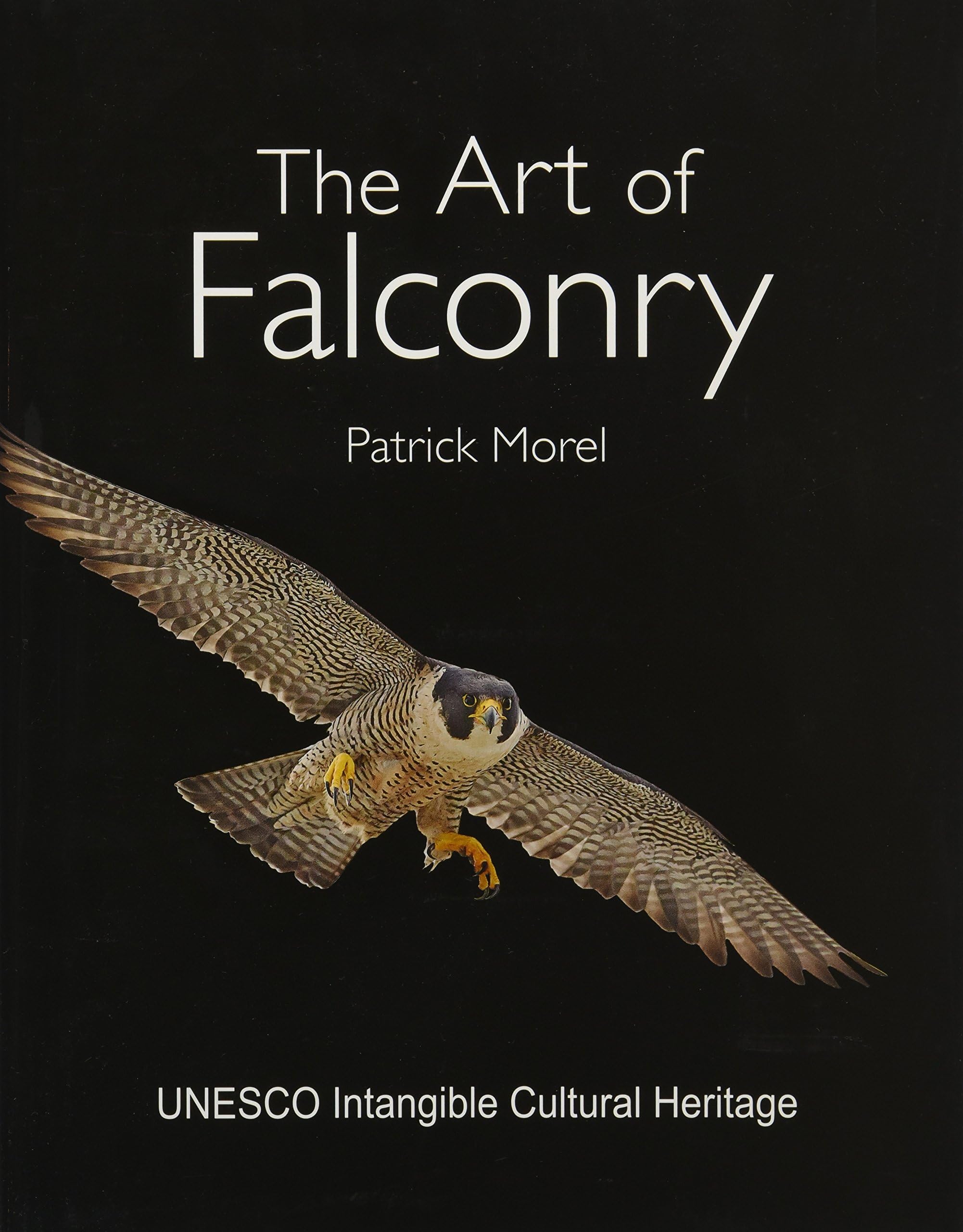 The Art of Falconry