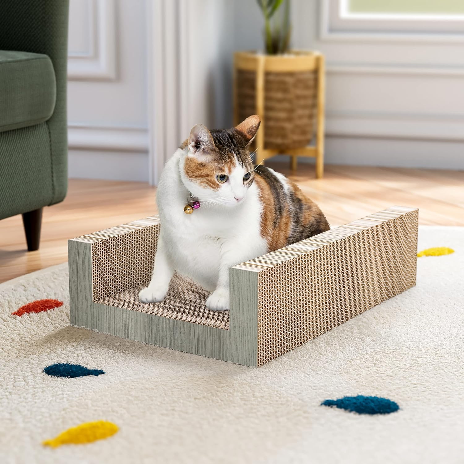 review Way Basics Cat Bed Scratcher (Tool-Free Assembly)
