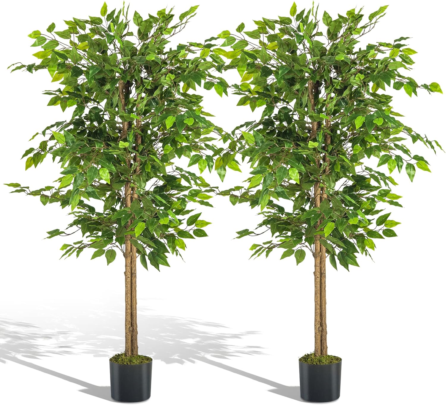 NeuType Artificial Tree, Ficus Silk Tree, 2Pack Fake Ficus Tree Plant