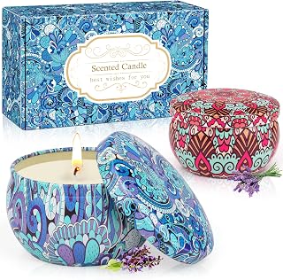 2 Pack Scented Candles，2.5 oz Aromatherapy Candles Gifts for Women，Natural Soy Candles for Home Scented, Portable Hotel Small Tin Jar Candles for Christmas,Birthday,Mother's Day