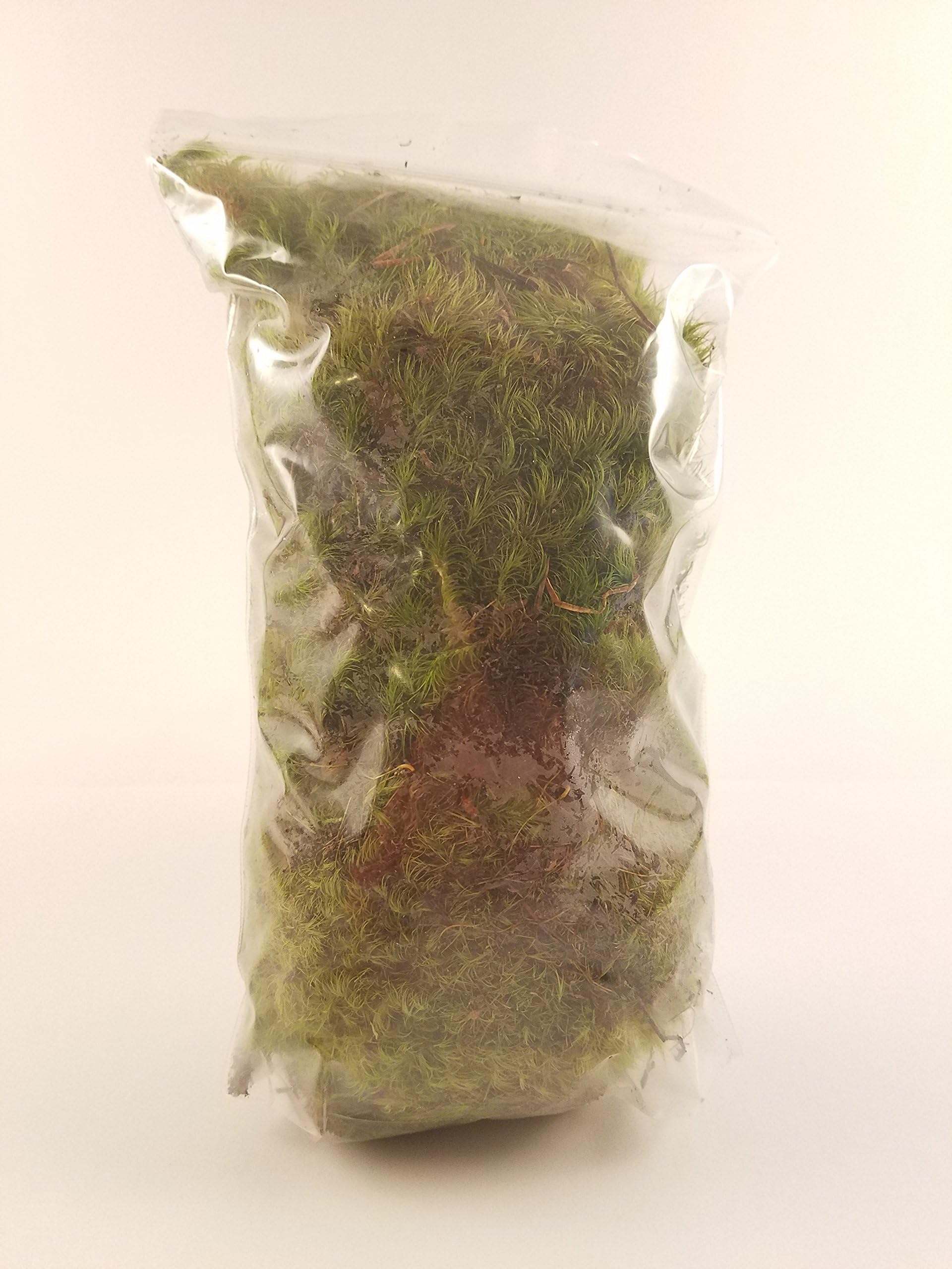 EZ-Botanicals フレッシュムードモス テラリウムや盆栽に最適