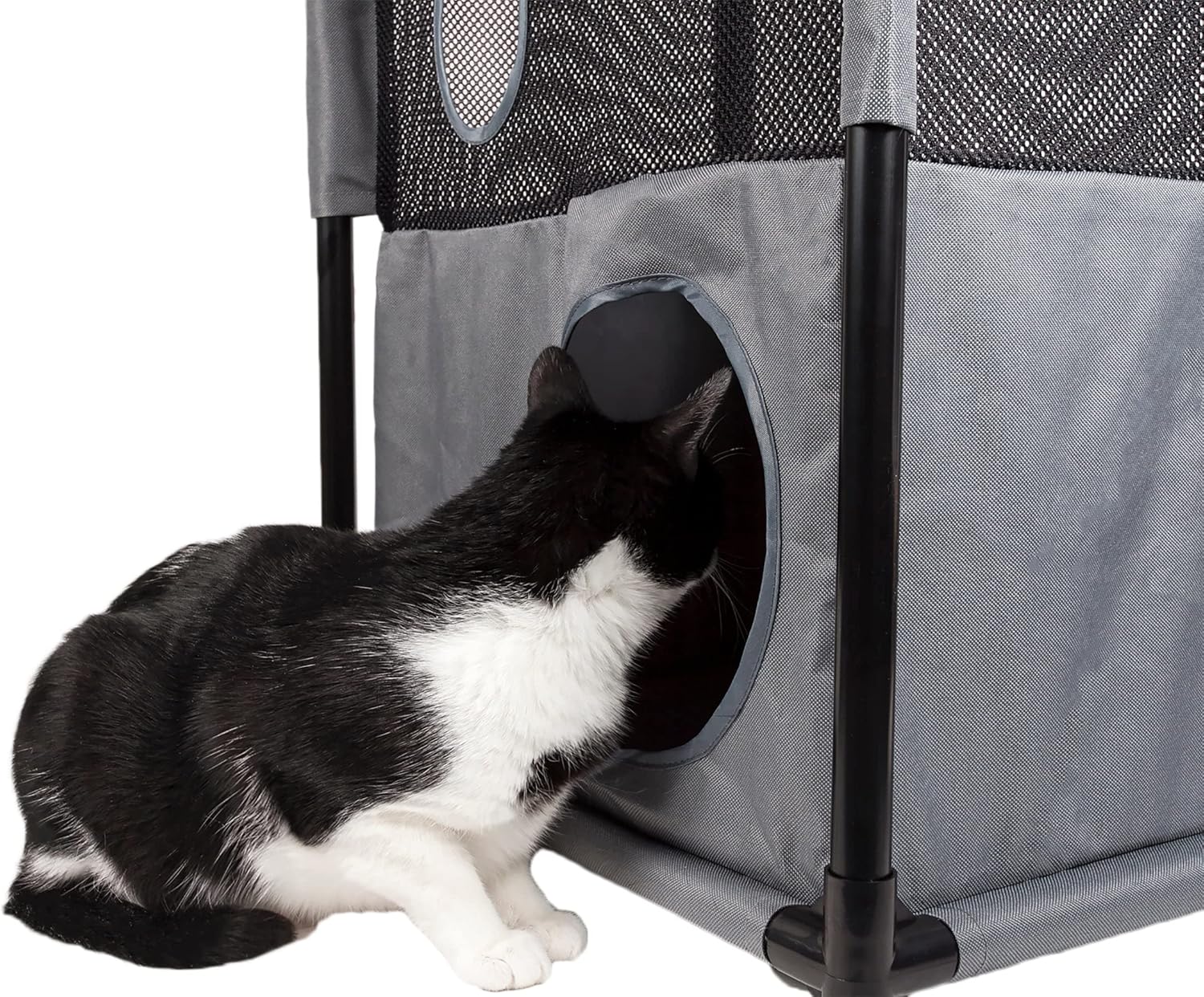 Pet Life ® Kitty-Square Obstacle Soft Folding Sturdy Play-Active Travel Collapsible Travel Pet Cat House Furniture : Pet Supplies