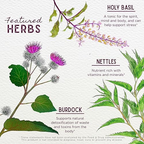 Miniatura 4 de WishGarden Herbs Cycle Changes - Suplemento a base de plantas con cohosh negro, ñame silvestre y Vitex apoya el equilibrio hormonal para mujeres en