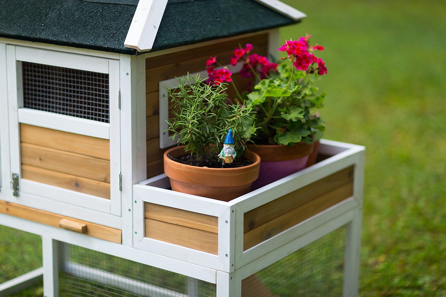 Prevue Pet Chicken Coop - Image 13
