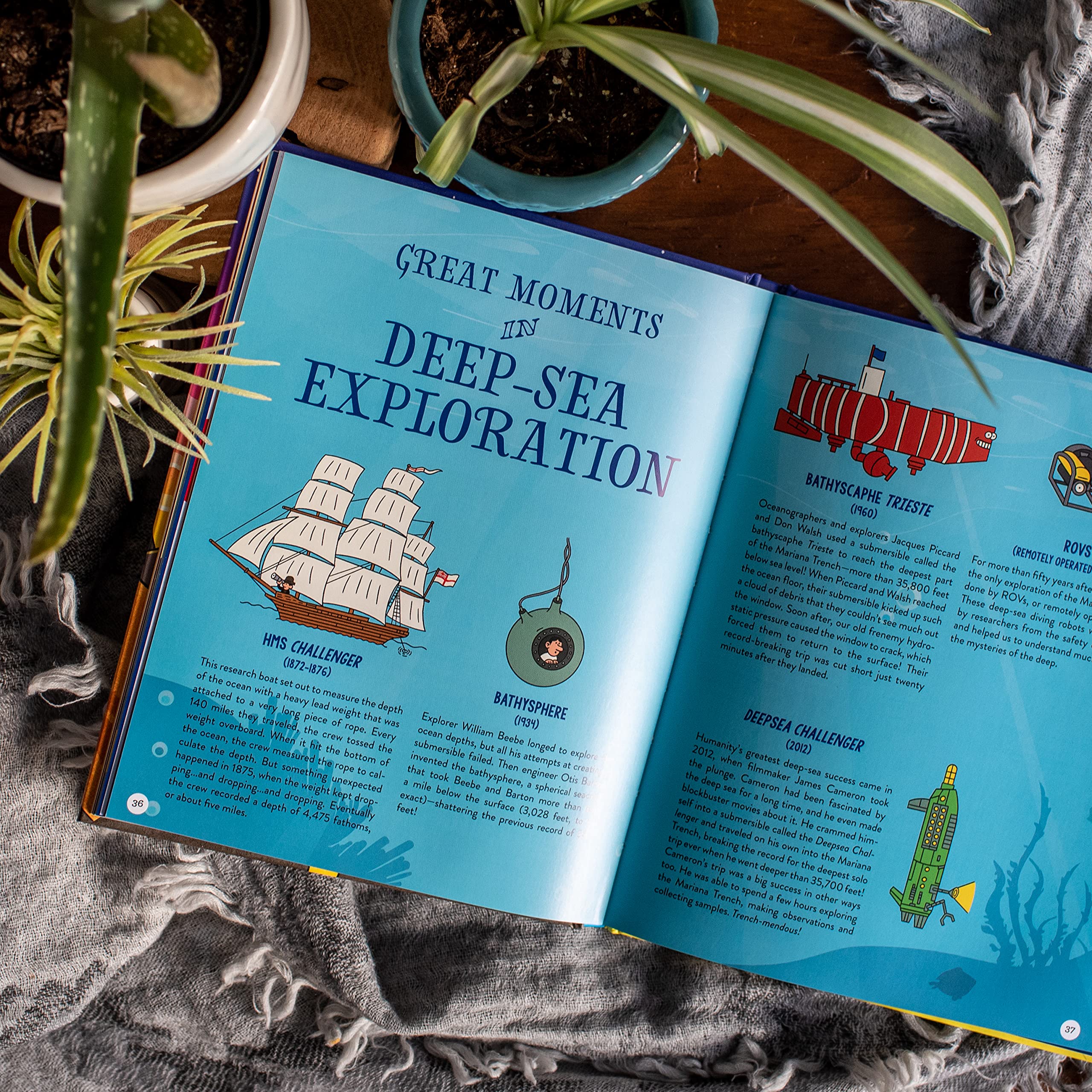 Brains On! Presents...Road Trip Earth: Explore Our Awesome Planet, from Core to Shore and So Much More - Image 6