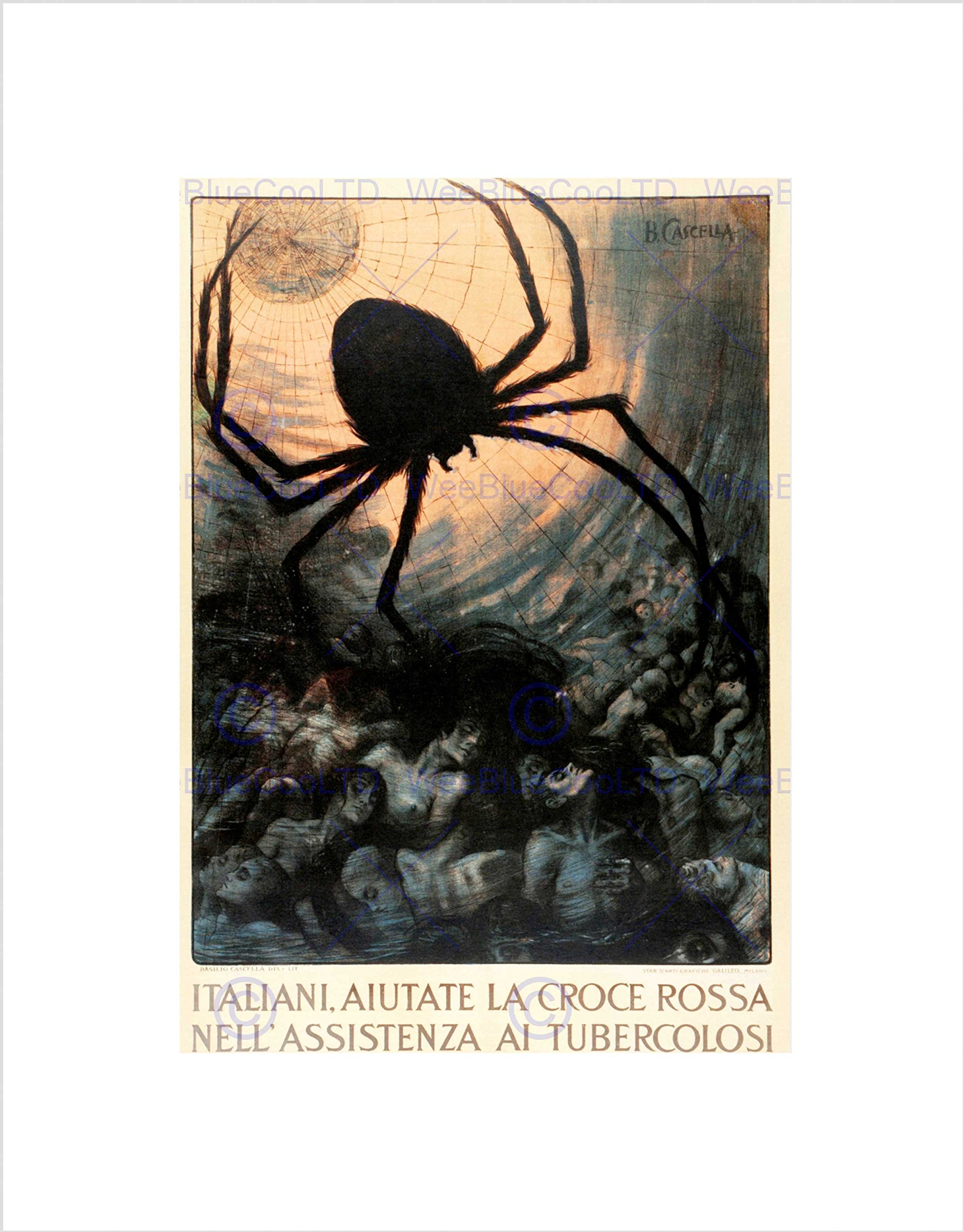 Wee Blue Coo POLITICAL HEALTH TUBERCULOSIS SPIDER WEB DEATH FRAMED ART PRINT MOUNT B12X5695