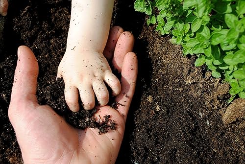 Miniatura 6 de Extractos antienvejecimiento Extracto de té verde de grado cosmecéutico para cosméticos champú cuidado del cabello antienvejecimiento pérdida de
