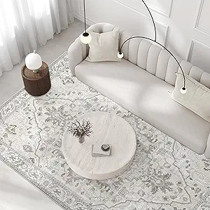 Deerly Vintage Area Rug 5x7 Boho Washable Large Living Room Bedroom Rugs Non Slip Low Pile 5x7 Rug for Kitchen Entryway Bedroom Dining Room Office, Beige/Multi
