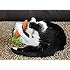 Product Photo 7
