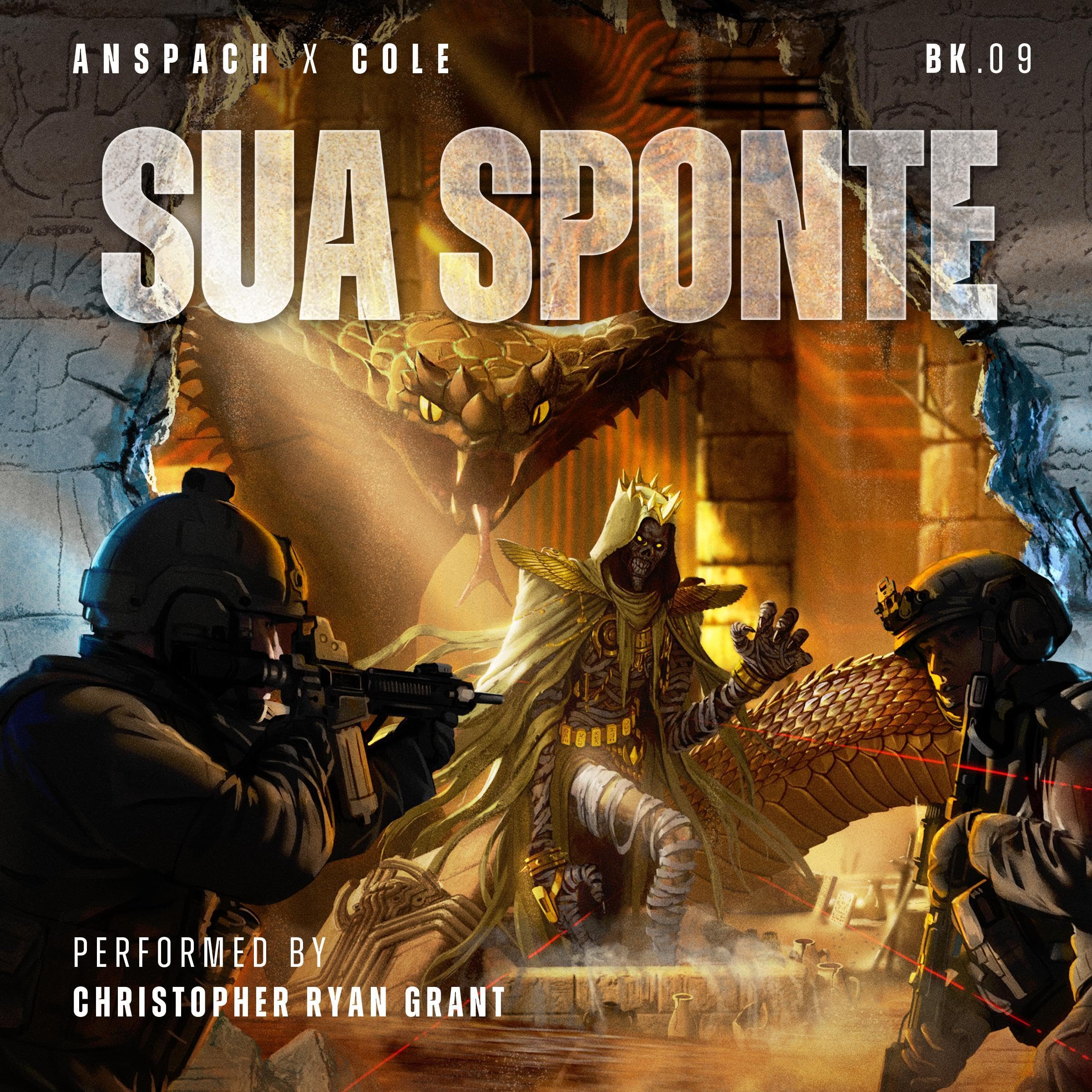 Cover art for Sua Sponte