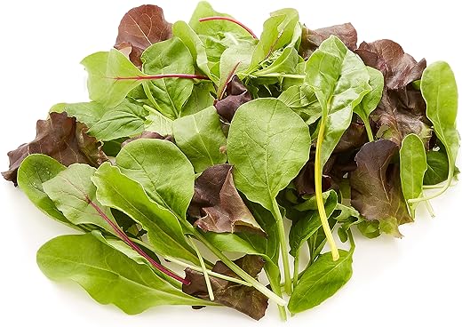 国内産 Tokyo Organic 有機ベビーリーフ 30g