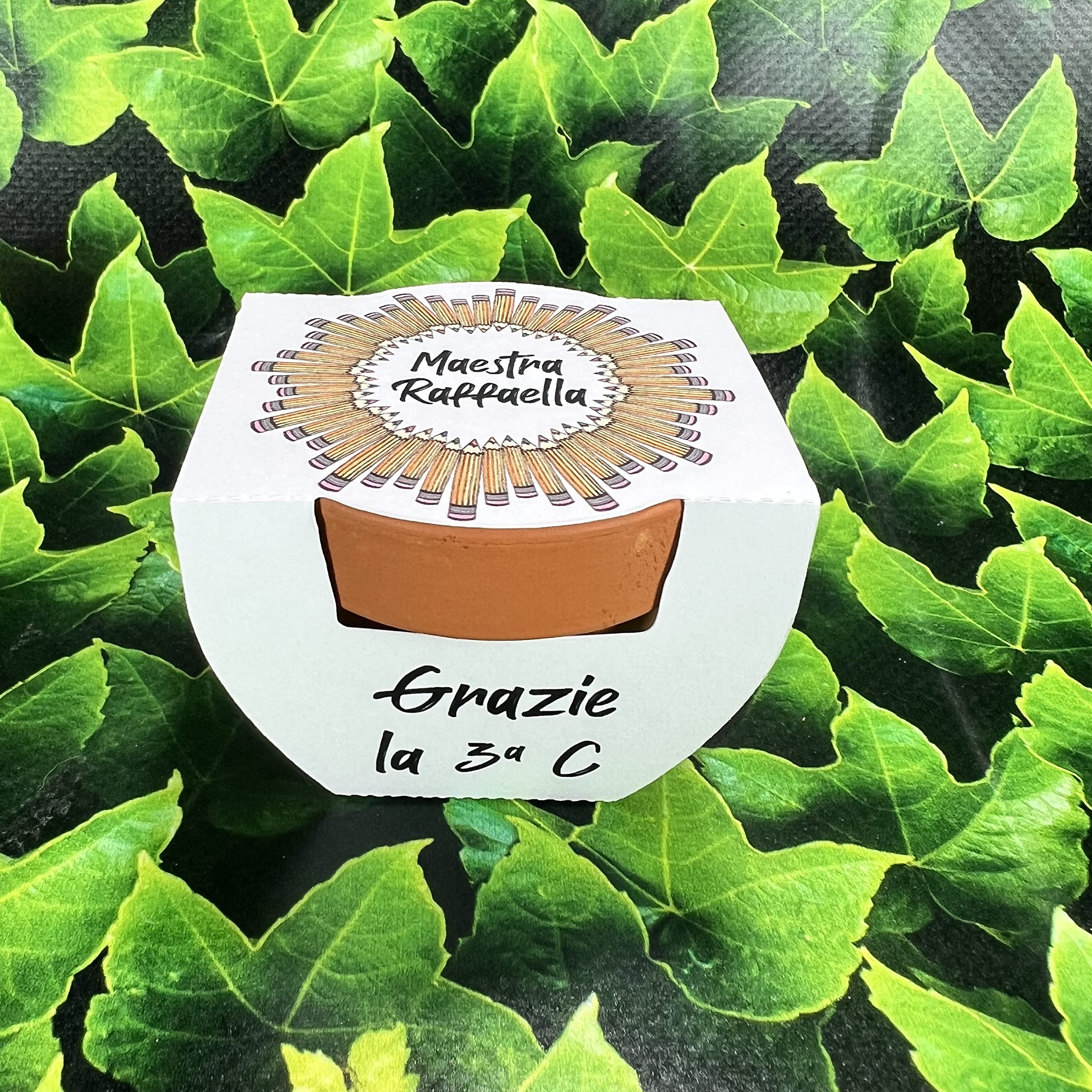 Vaso in Terracotta con Semi Personalizzato – Regalo Maestra Fine Anno Scolastico o Ritorno a Scuola – Idee Ecologiche con Sementi Floreali e Aromatiche