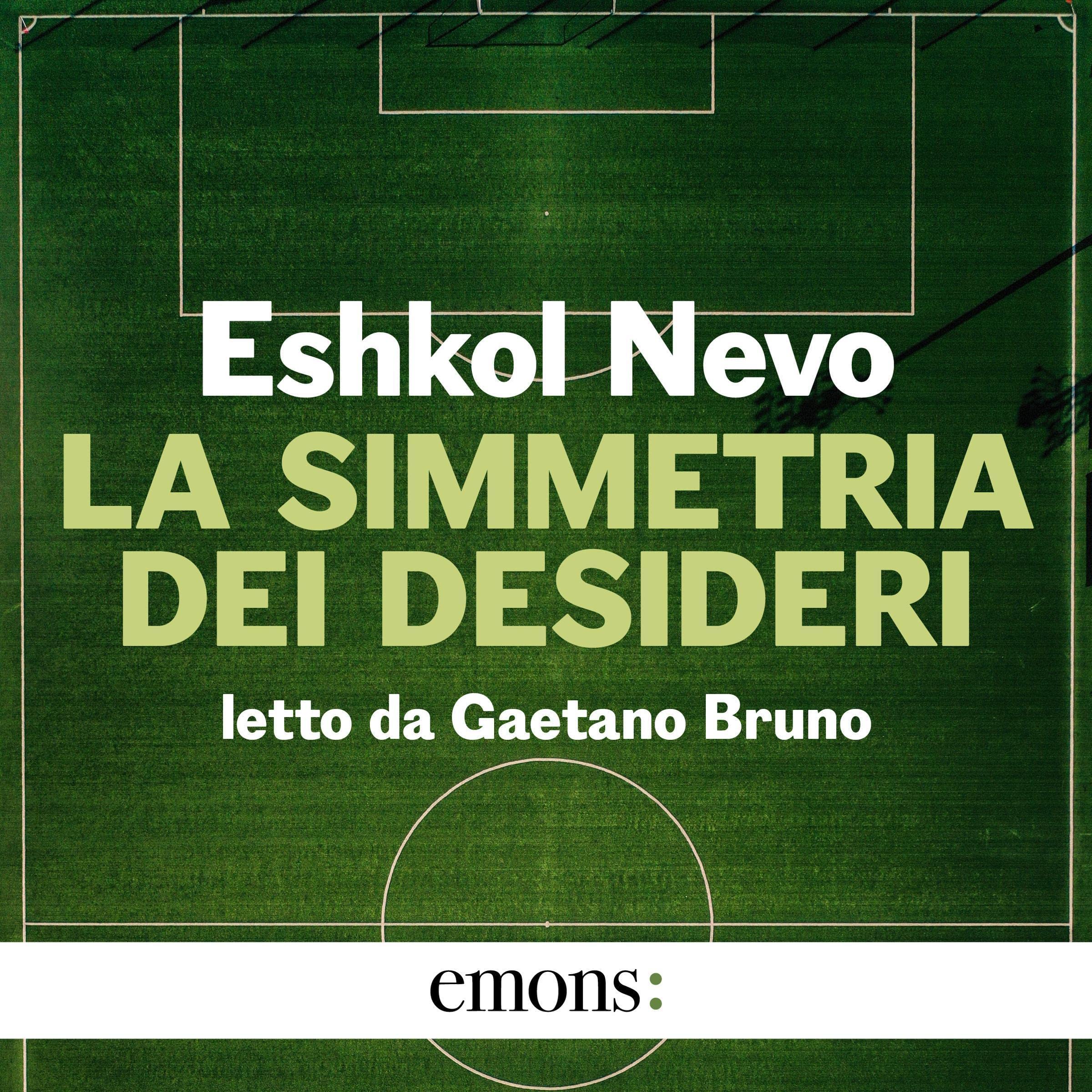 Cover art for La simmetria dei desideri