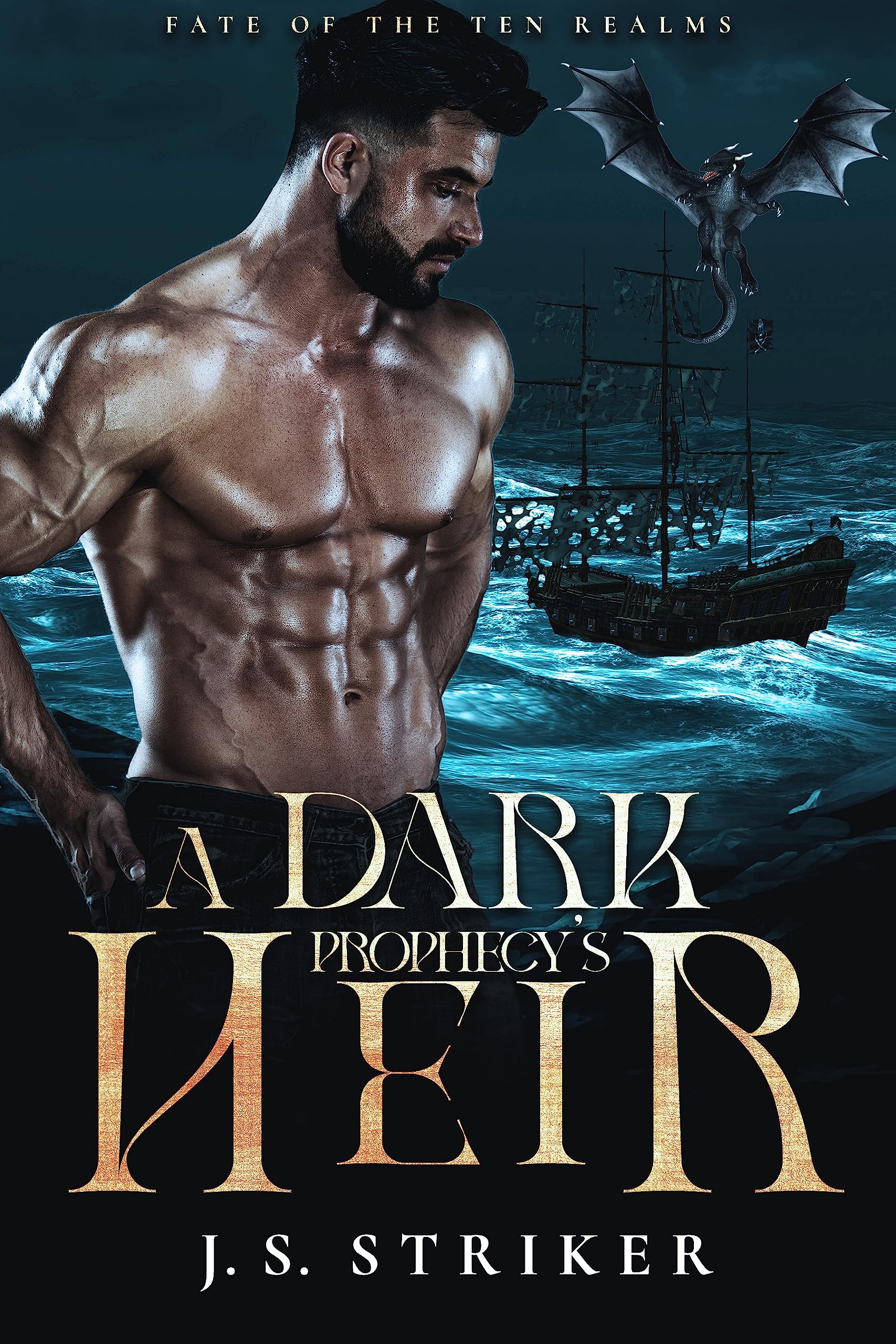 Cover of A Dark Prophecy's Heir