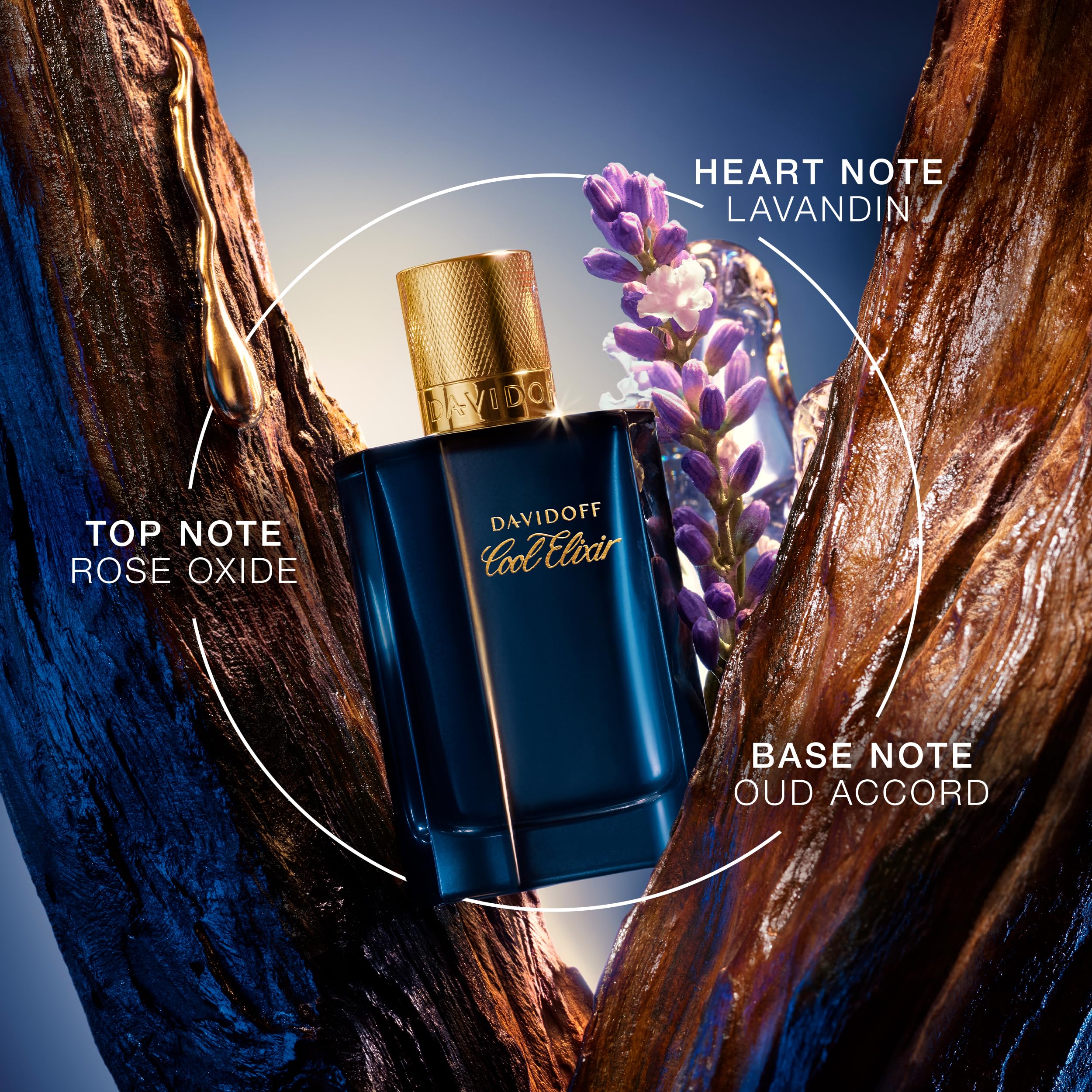 Davidoff Cool Elixir – Oud Parfum Intense – Mit Noten von Rosenoxid, Lavandin und einem Oud-Akkord – Luxus Parfums für Herren – Langanhaltender Duft