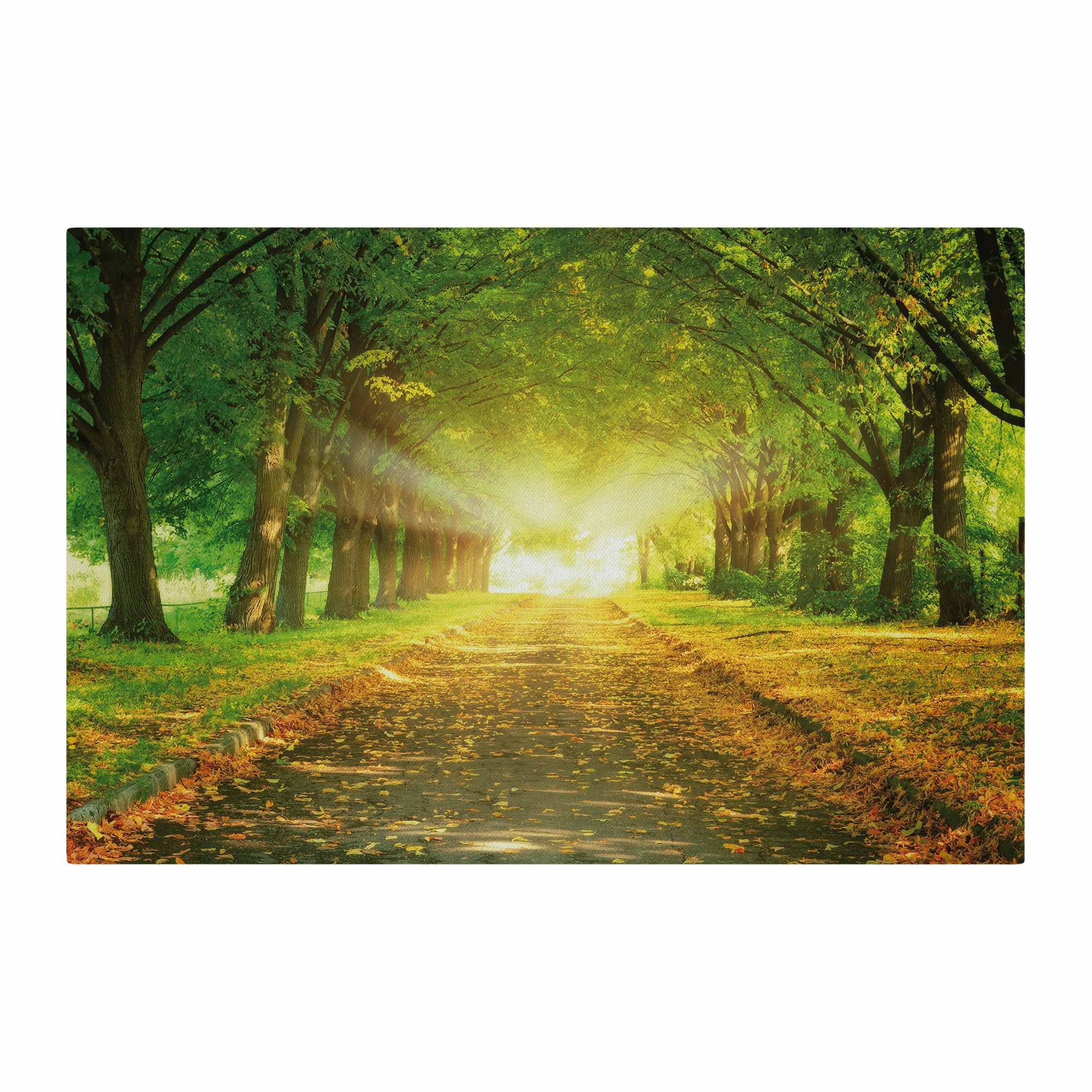 micasia Akustikbild Wald Bäume Natur Schallschutzbild 4cm Keilrahmen & Schallabsorber - Baum Modern grün Wohnzimmer Schlafzimmer Bild für bessere Raumakustik 1672 (150x100cm)