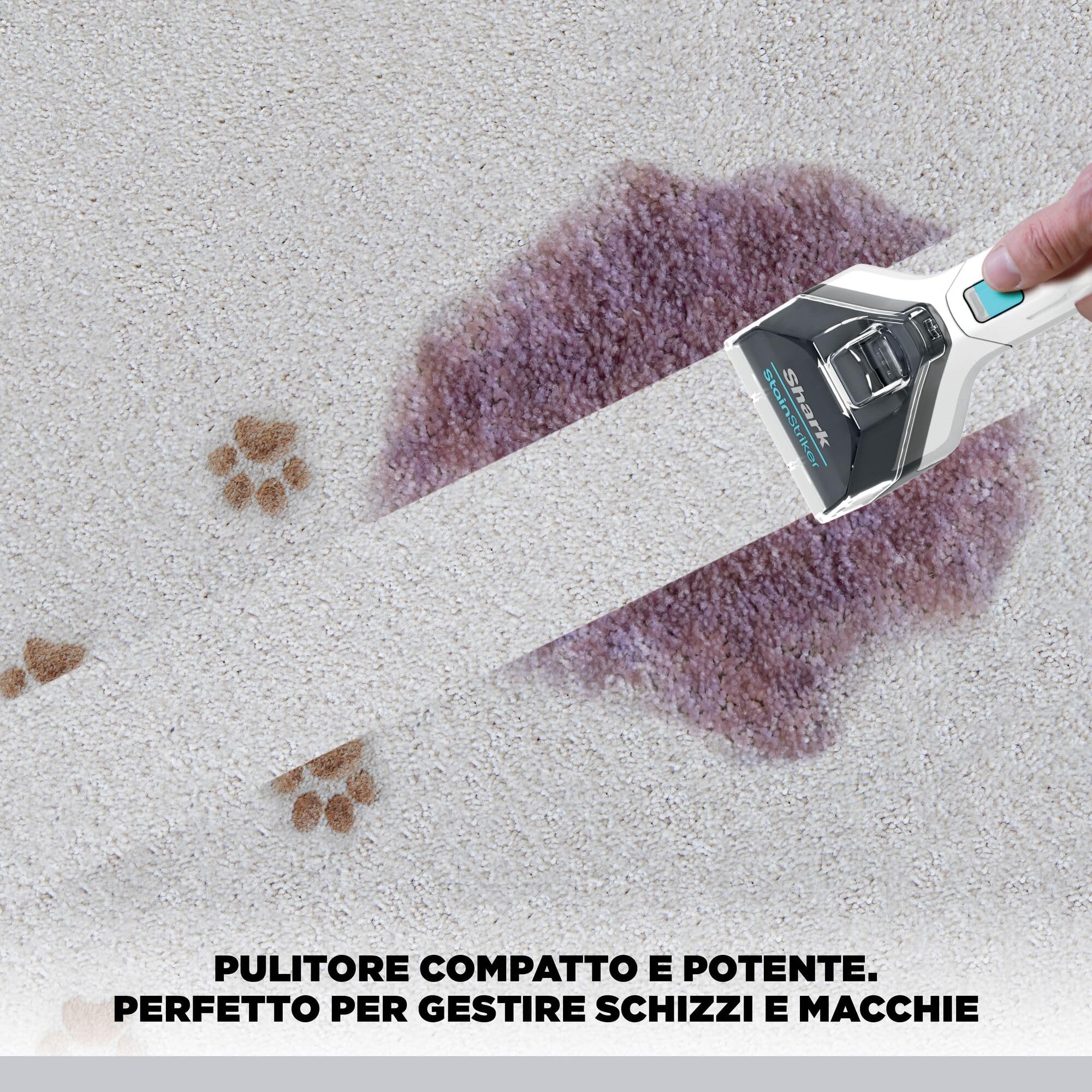 Shark StainStriker Pulitore Tappezzeria e Smacchiatore, 5 Accessori, Animali Domestici, Fessure e Tubo Flessibile, 2 Detergenti, Rimuove le Macchie, Odore e Sporco, Leggero, Portatile, 450W PX200EUT.