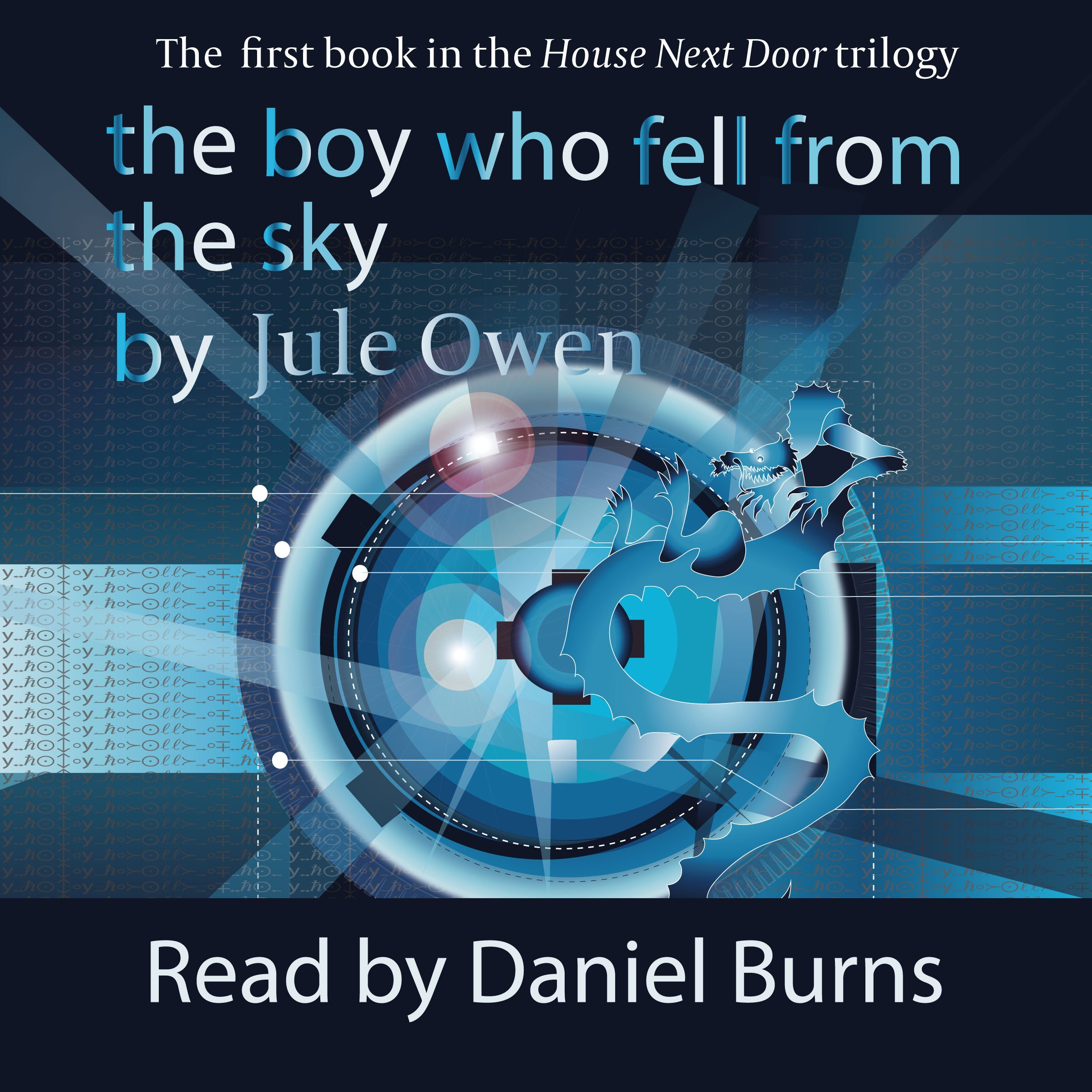 Cover art for The Boy Who Fell from the Sky