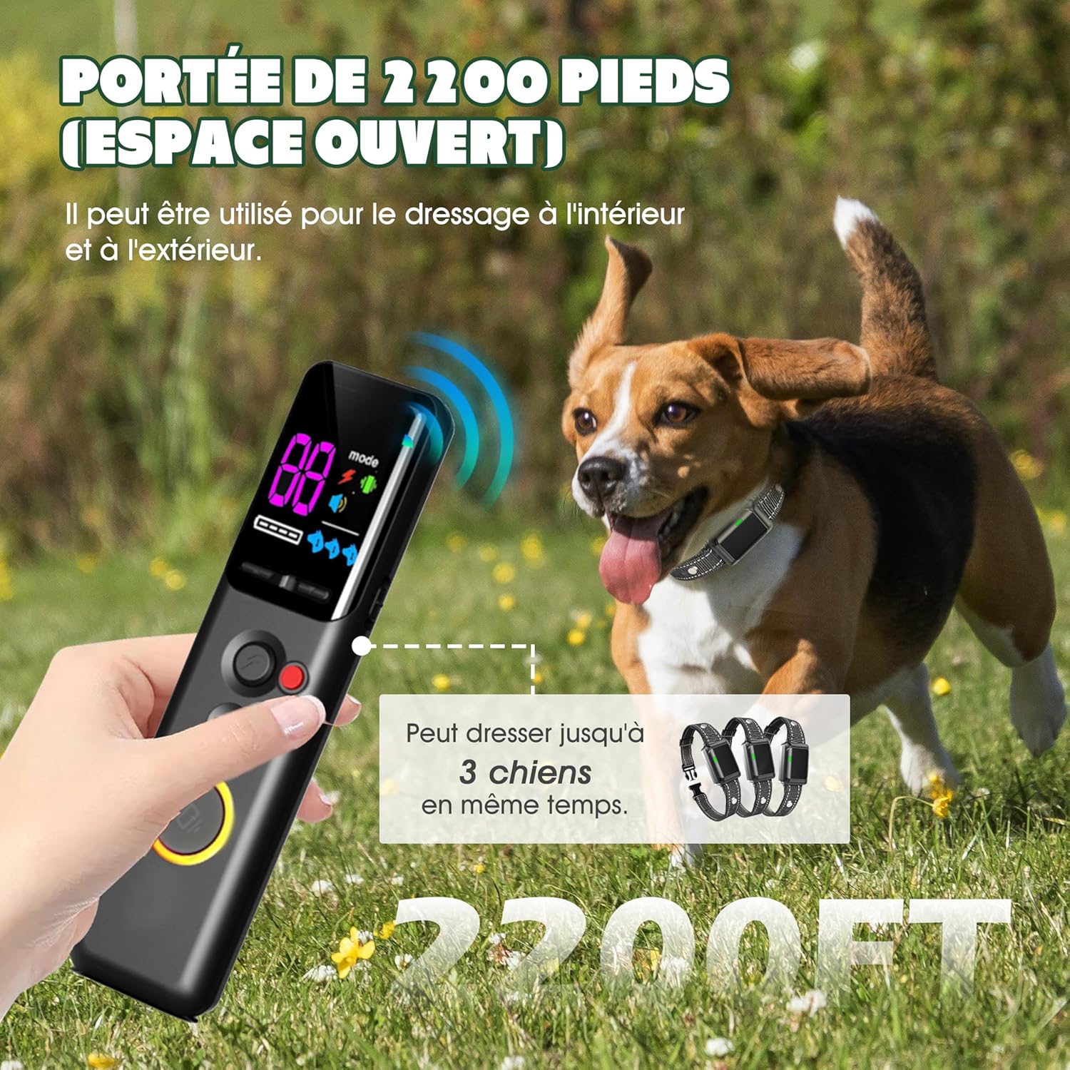 Collier contre aboiement avec voyant lumineux