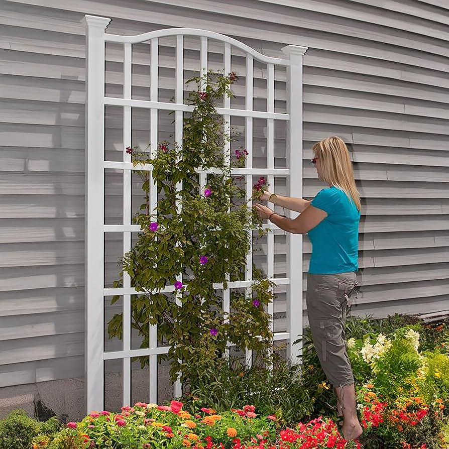 三郎丸V ・ GLENGRANT ARBORALIS 三郎丸V ・ GLENGRANT ARBORALIS Glen Grant Arboralis