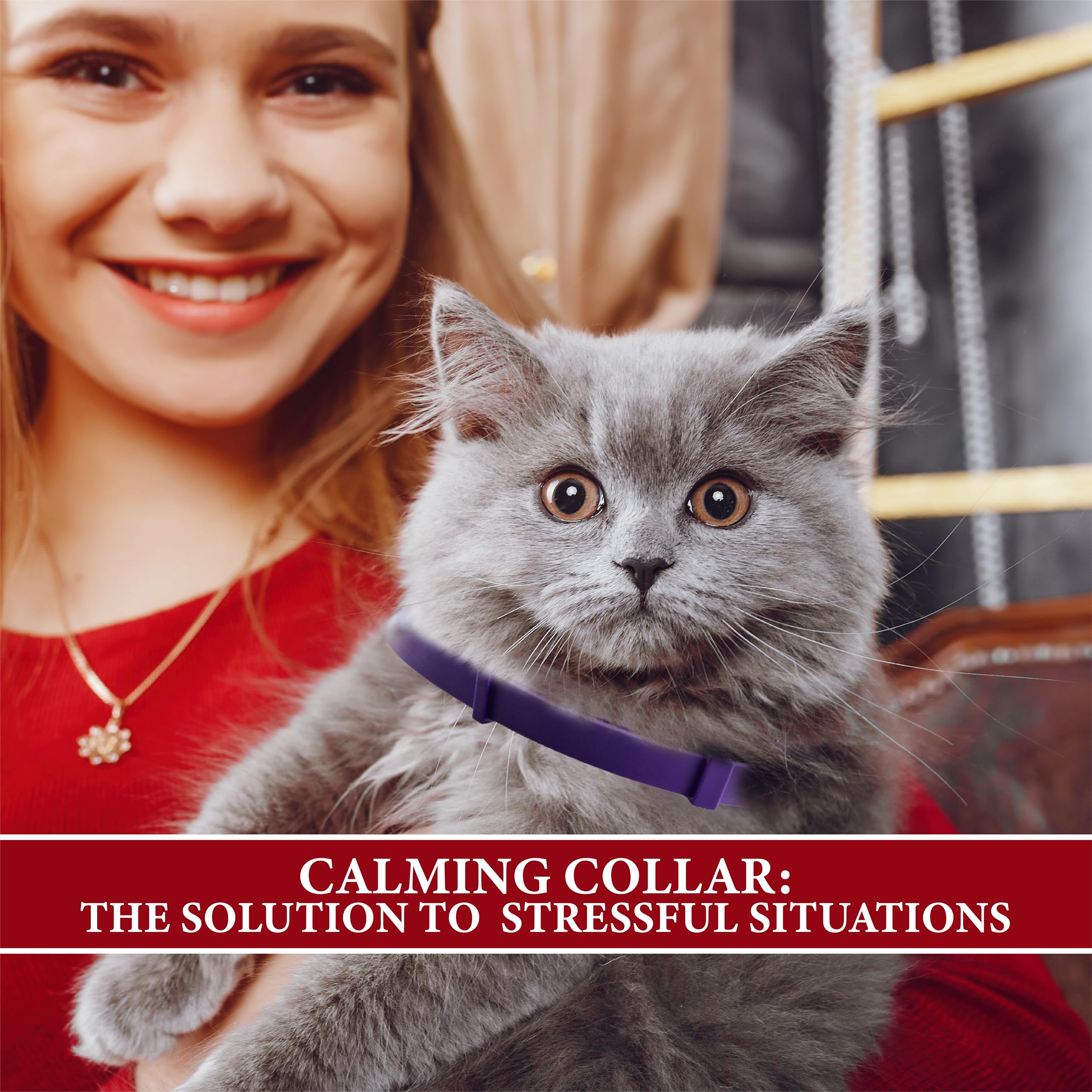 Soothing Cat Calming Collars - 2 Pack Grey Adjustable Collar for Anxiety Relief | Pheromone-Infused Comfort Collars for Cats | Lasts 30 Days | Ideal for Stressful Situations - image 8