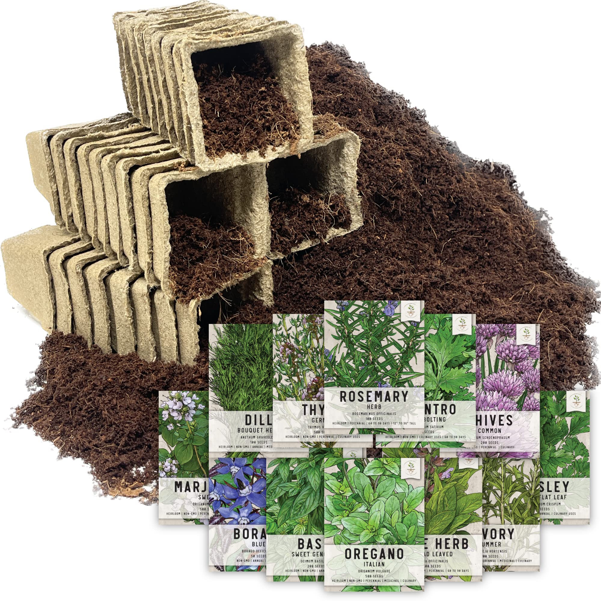 Seed NeedsCulinary Herb Seed Packet Collection Seed Starting Bundle (Includes 12 Individual Seed Packets, 36 Starter Pots & 1 Expandable Coco Coir Brick) Heirloom, Non-GMO, Untreated