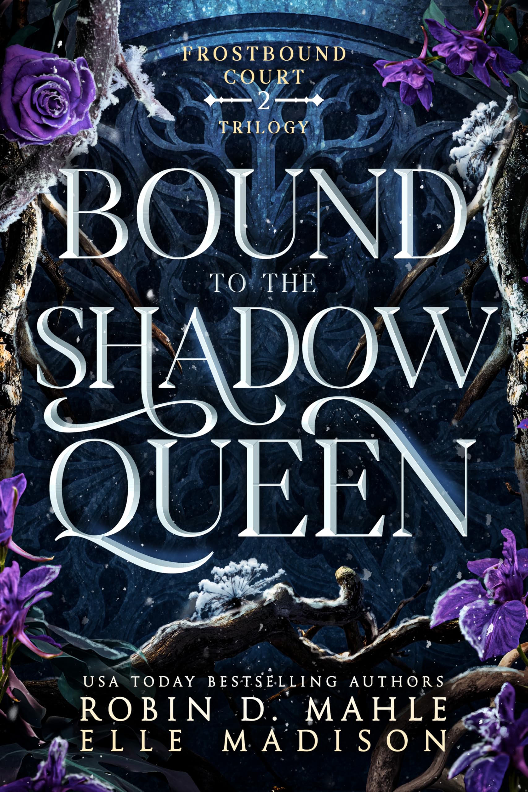 Bound to the Shadow Queen (Frostbound Court Book 2)