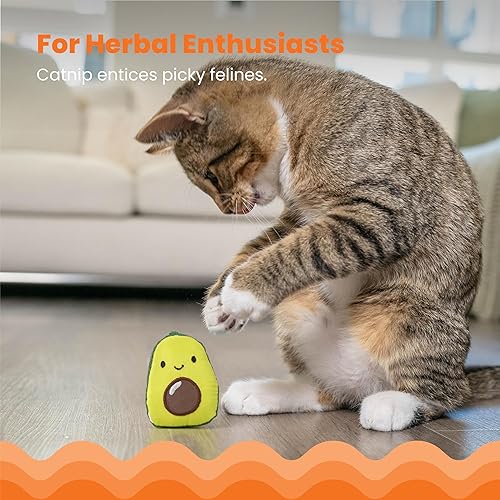 Miniatura 3 de Catstages Lil' Avocato Juguete para Gatos, Aguacate de Peluche Interactivo con Hierba Gatera, Juguete para Patear y Masticar para Gatos