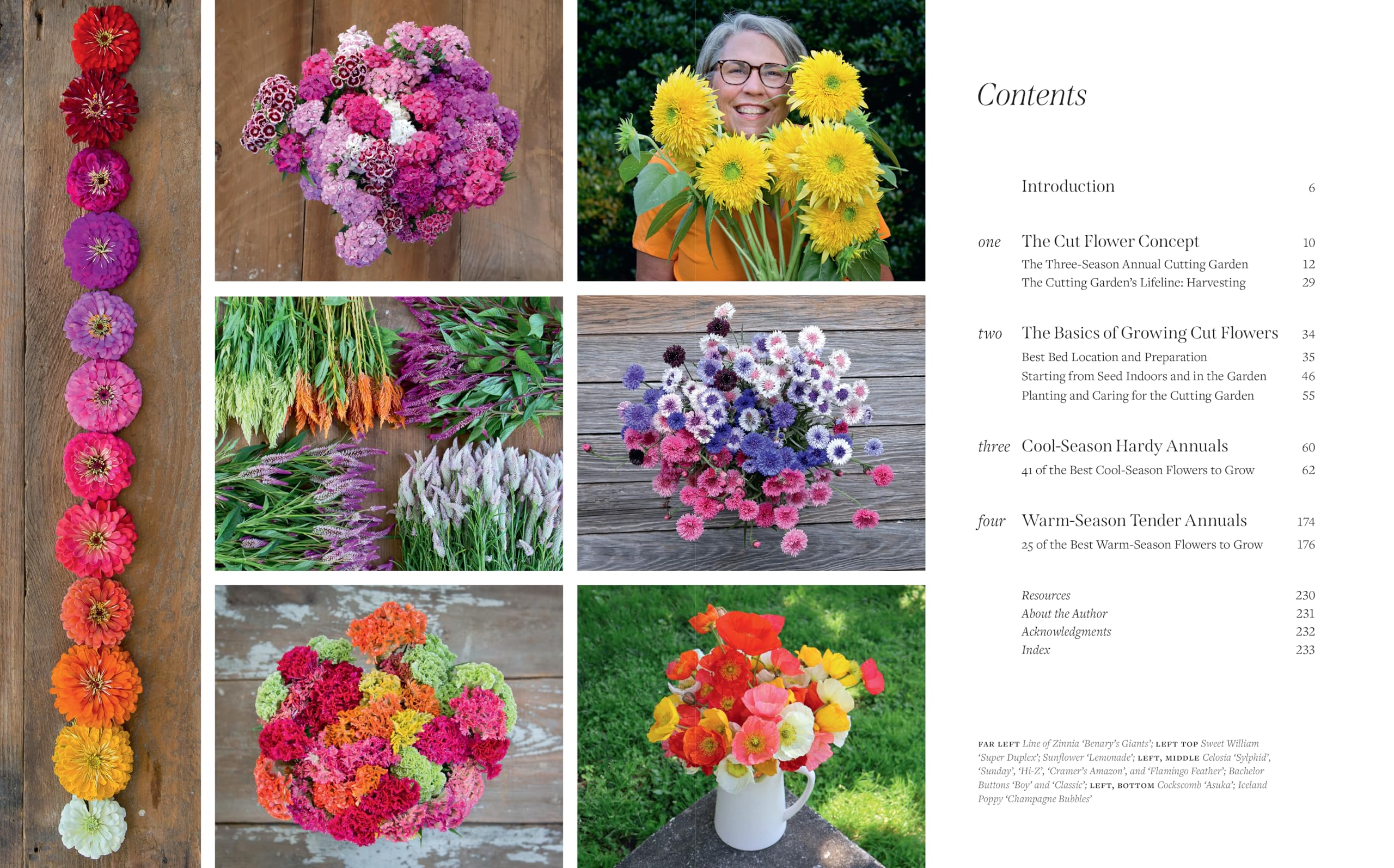 Cut Flower Handbook: Select, Plant, Grow, and Harvest Gorgeous Blooms