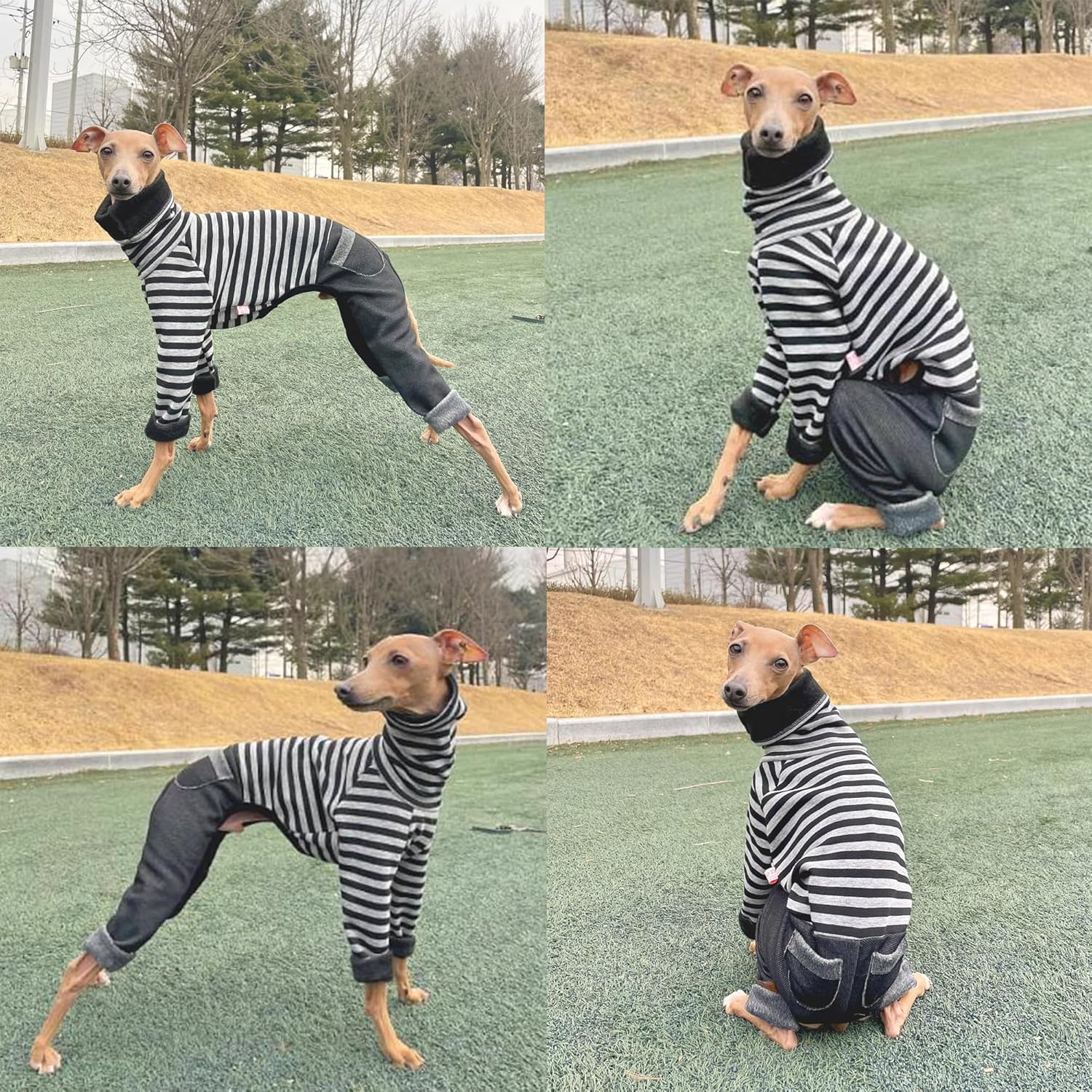 D Doggy Star Italian Greyhound Clothes Stripe Fleece Stretchable Denim Onesie Whippet for Dog Turtleneck Outfits Coat (M,Denim Black)