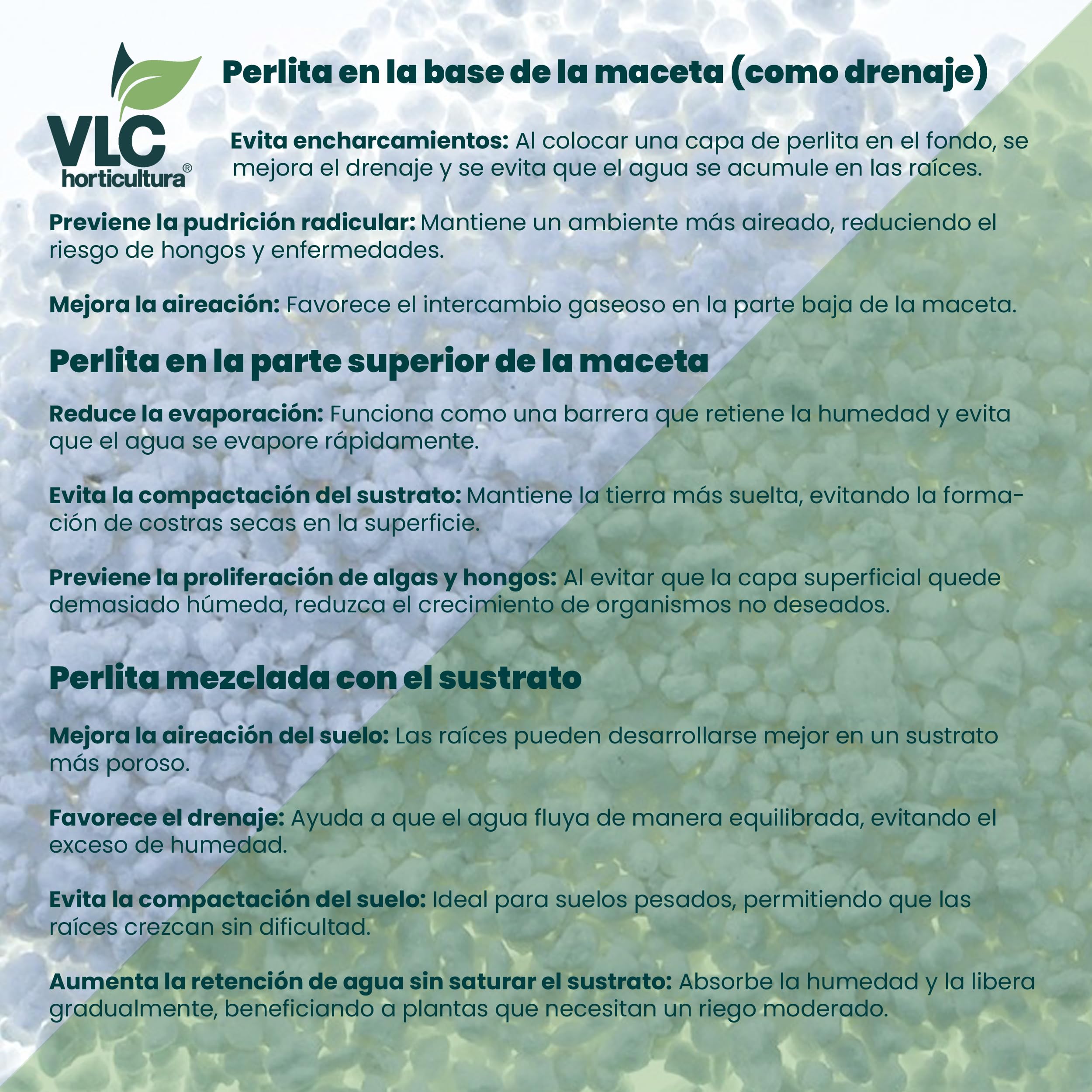 Perlita Expandida Volcánica 100% Natural - Aditivo para Sustratos y Suelos de Cultivo - Mejora la Retención de Agua y Aireación - Envase de 100 litros