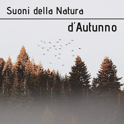 Suoni Della Natura D Autunno Musica Delle Quattro Stagioni Per Iniziare La Stagione Fredda By Natura Armonia On Amazon Music Amazon Com