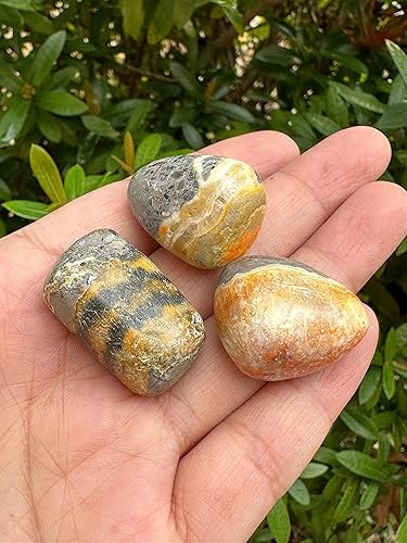 Miniatura 14 de GAF TREASURES Piedras pulidas de ojo de tigre de 1/2 libra, piedra preciosa natural pulida, cristales curativos de ojo de tigre (ojo de tigre)