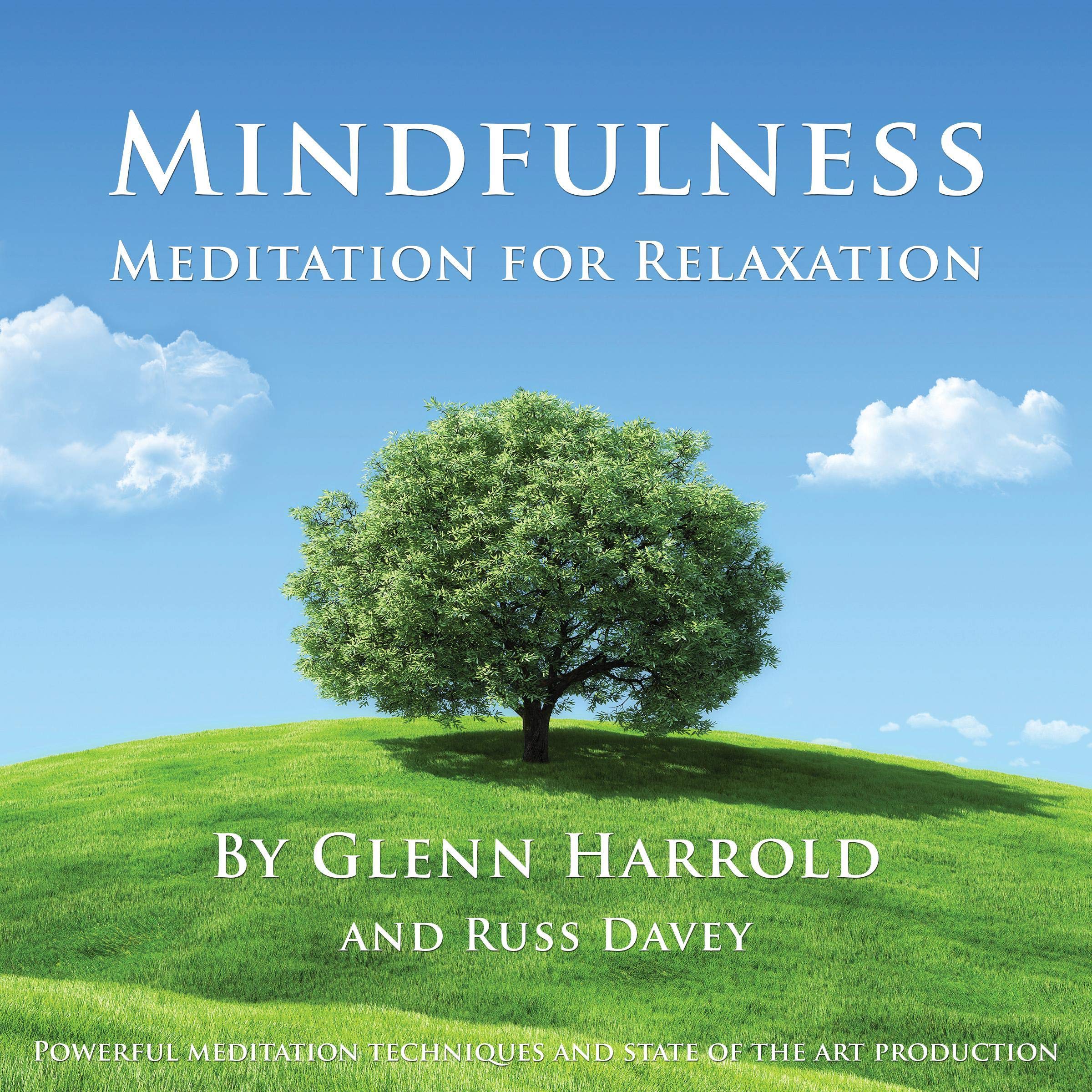 Cover art for Mindfulness Meditation for Relaxation