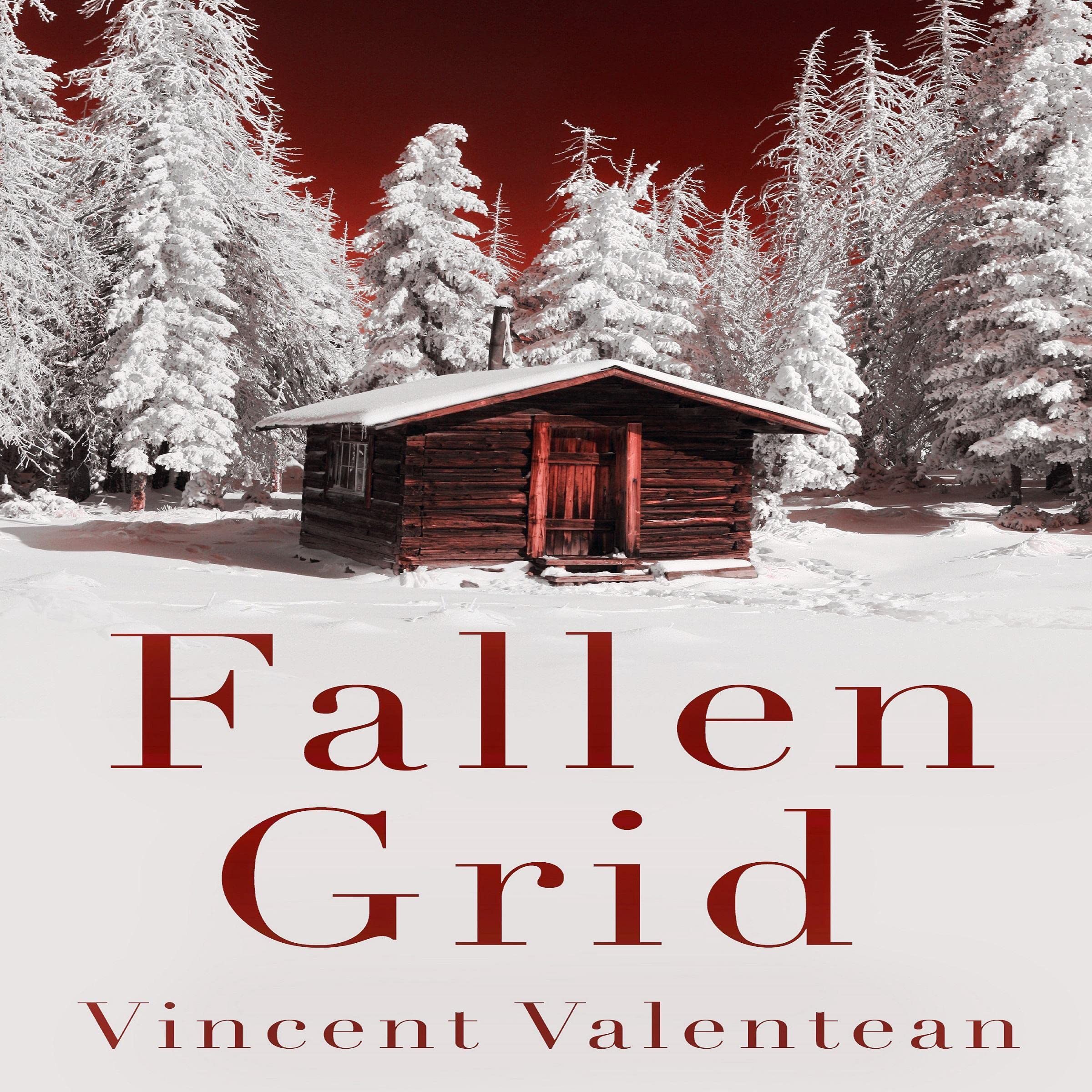 Cover art for Fallen Grid