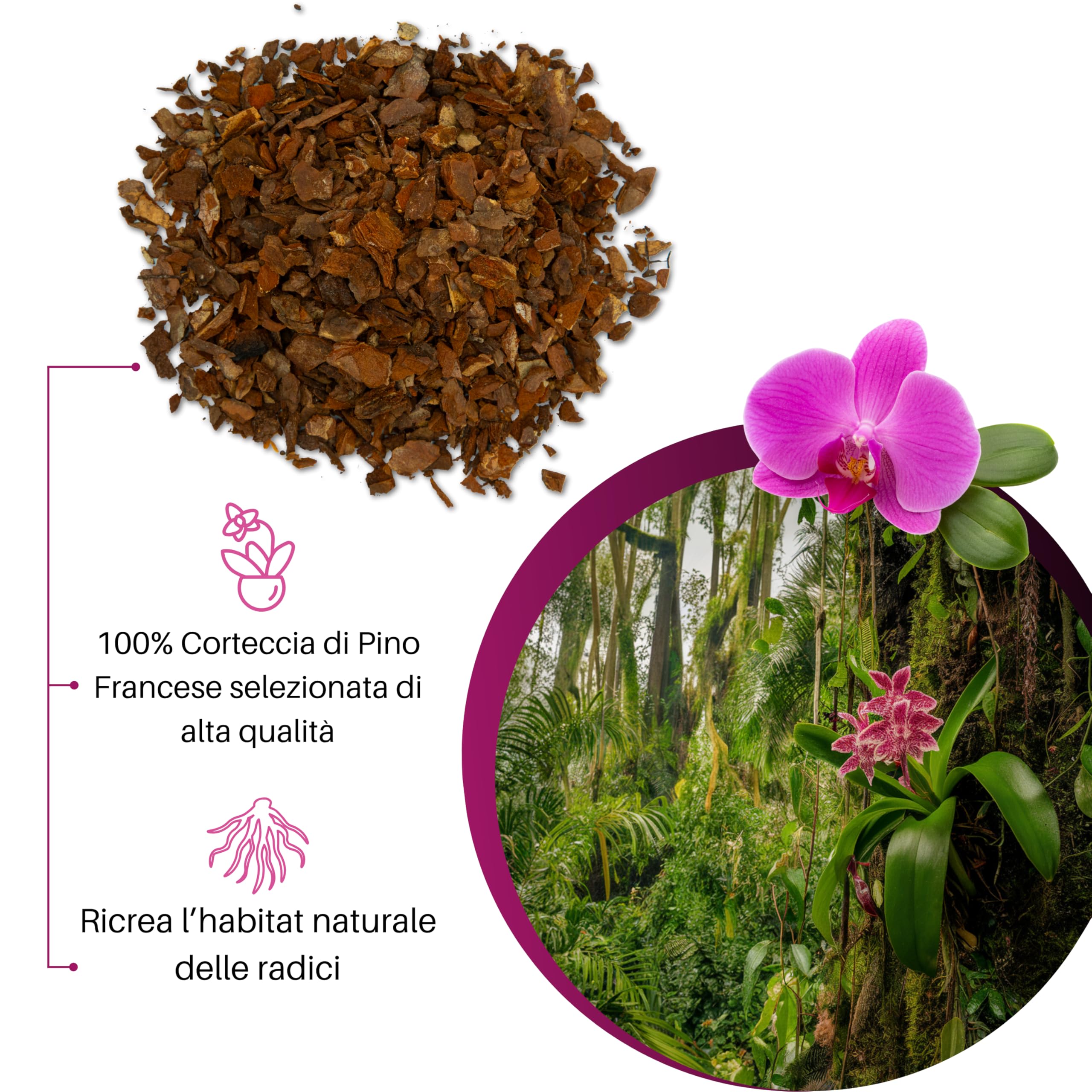 GebEarth® Terriccio per Orchidee Substrato 1L Professionale