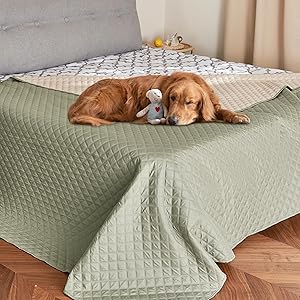 NICETOWN Pet Blanket, Water Resistant Cat Dog Puppy Dog Hair Repellent Blanket for Small Medium Large Dogs, Waterproof Sectional Couch Covers, 1 PC, 62 x 82, Beige/Khaki