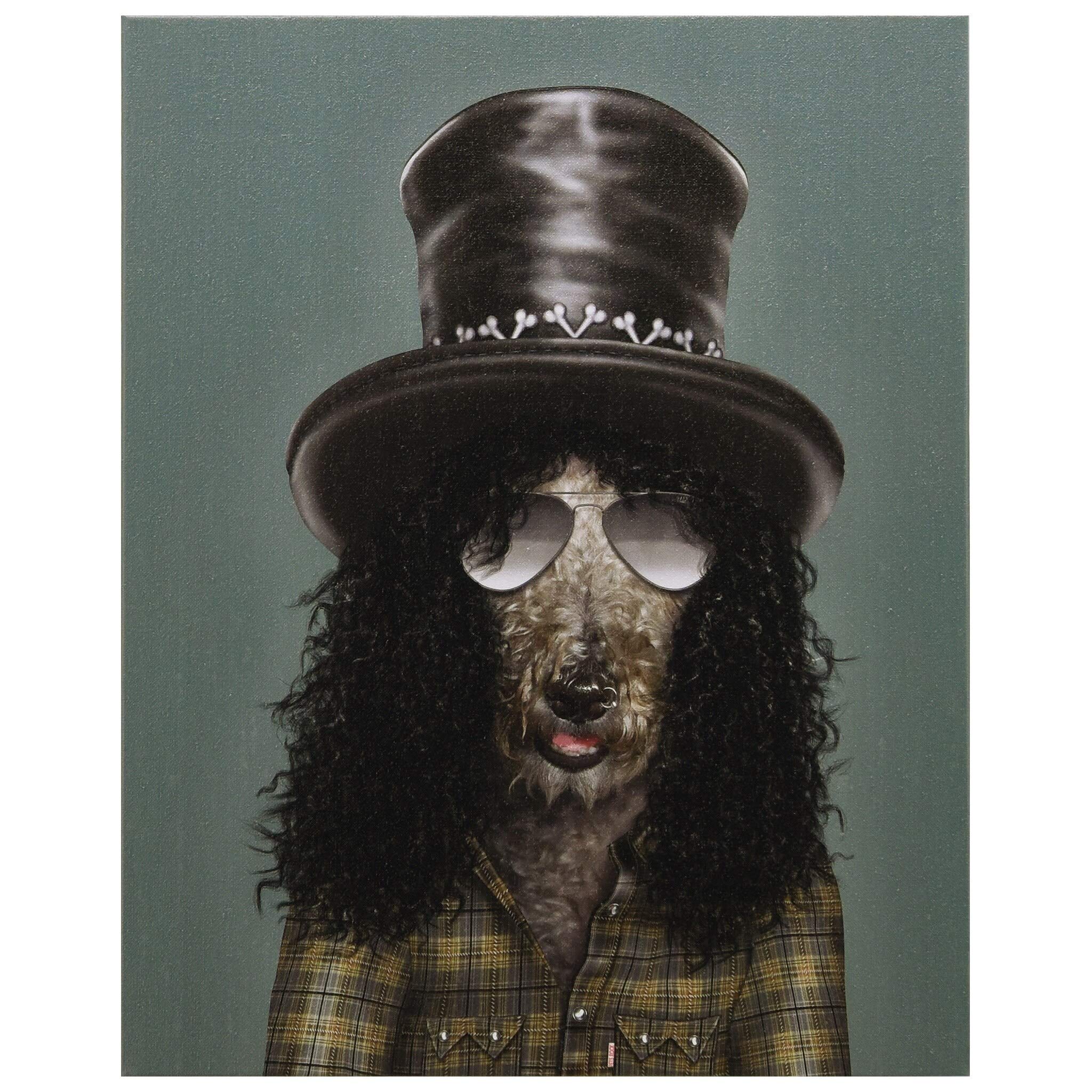 Amazon.co.jp: EMPIRE ART Direct Pets Rock 