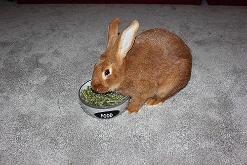 Vista 5 de Alfalfa Heno Alimento Mascotas Pequeñas Jóvenes y Adultos Pellets 5 libras