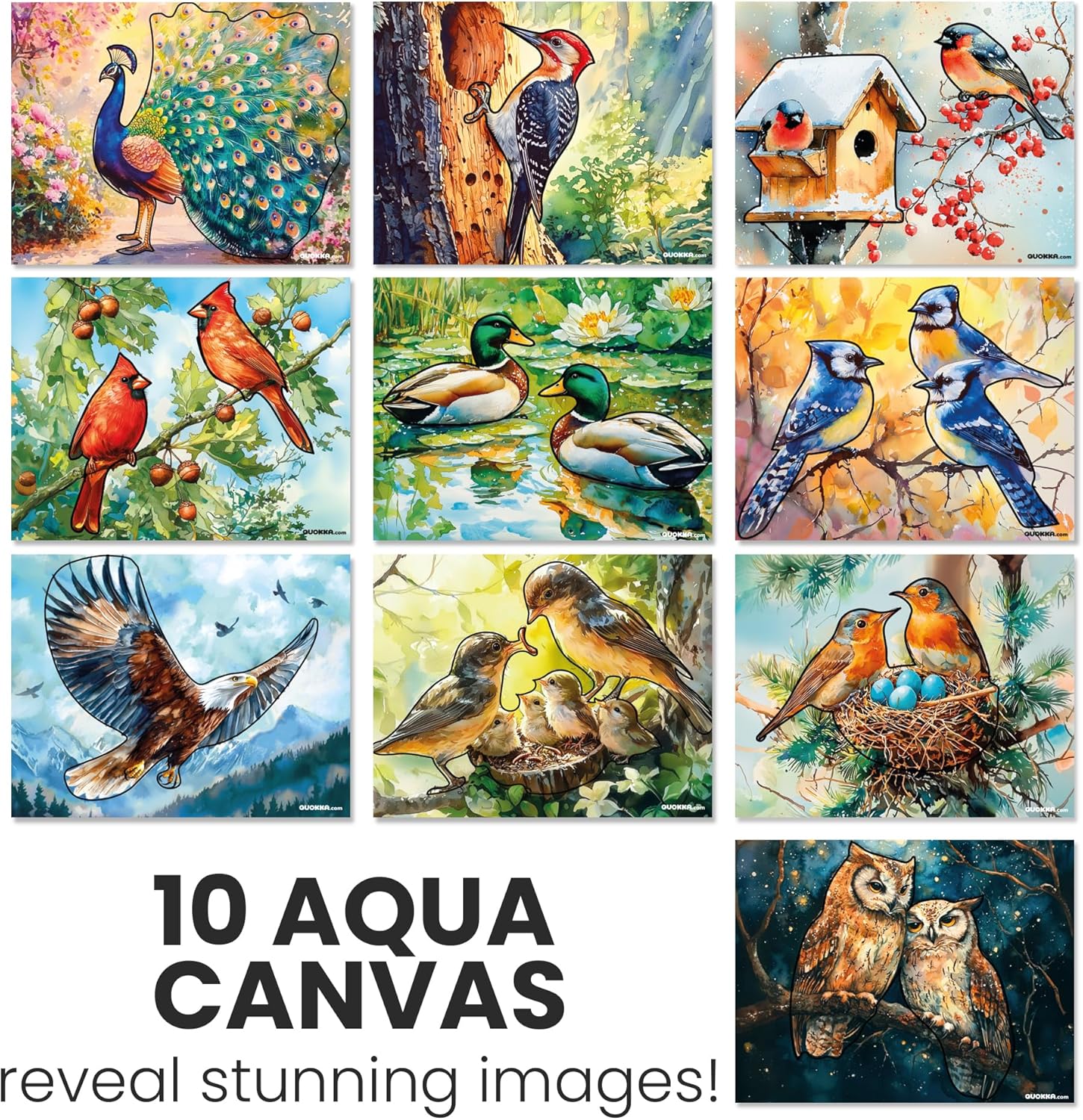 QUOKKA Set of Water Painting Dementia Activities